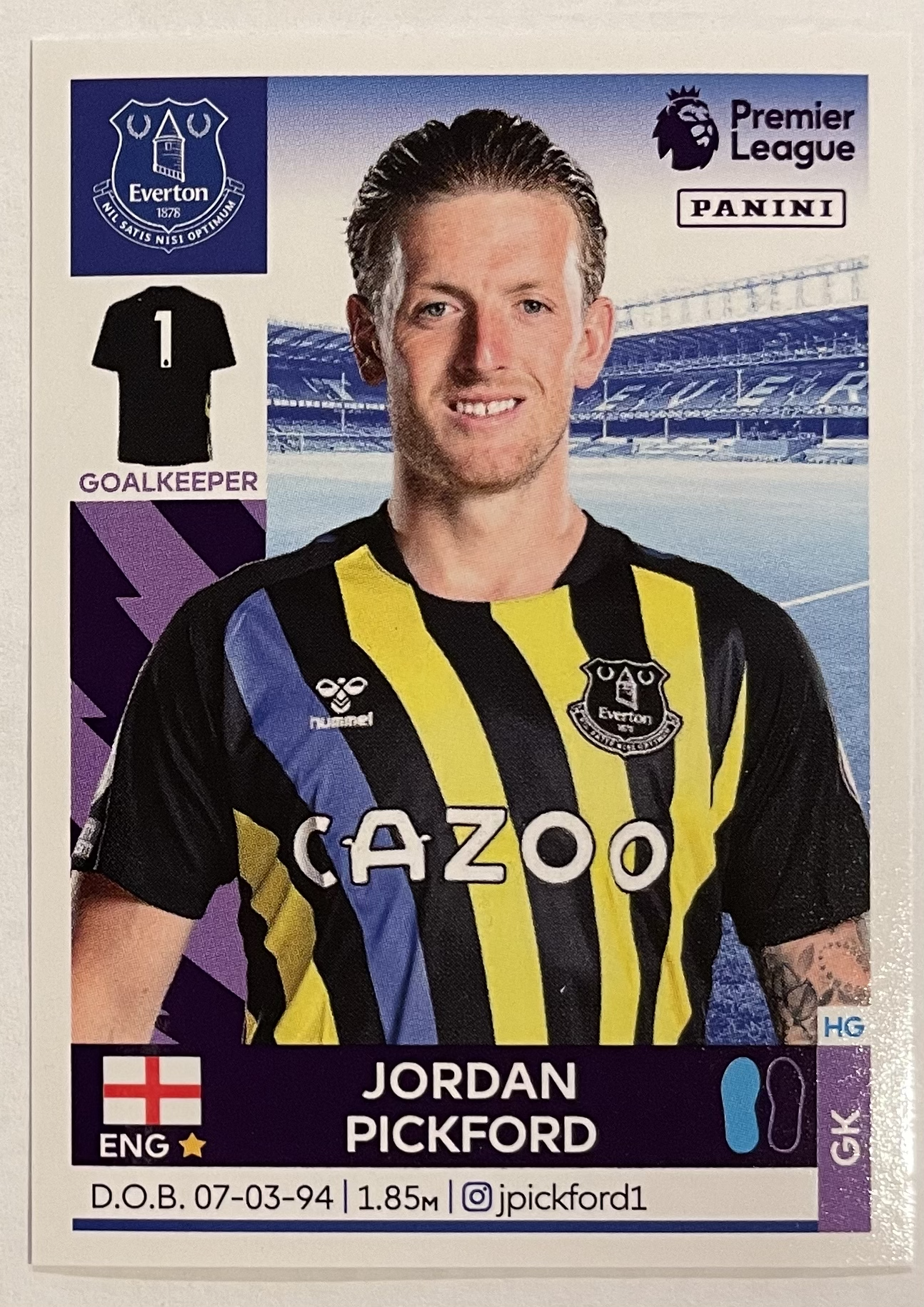 jordan pickford 2022 panini sticker