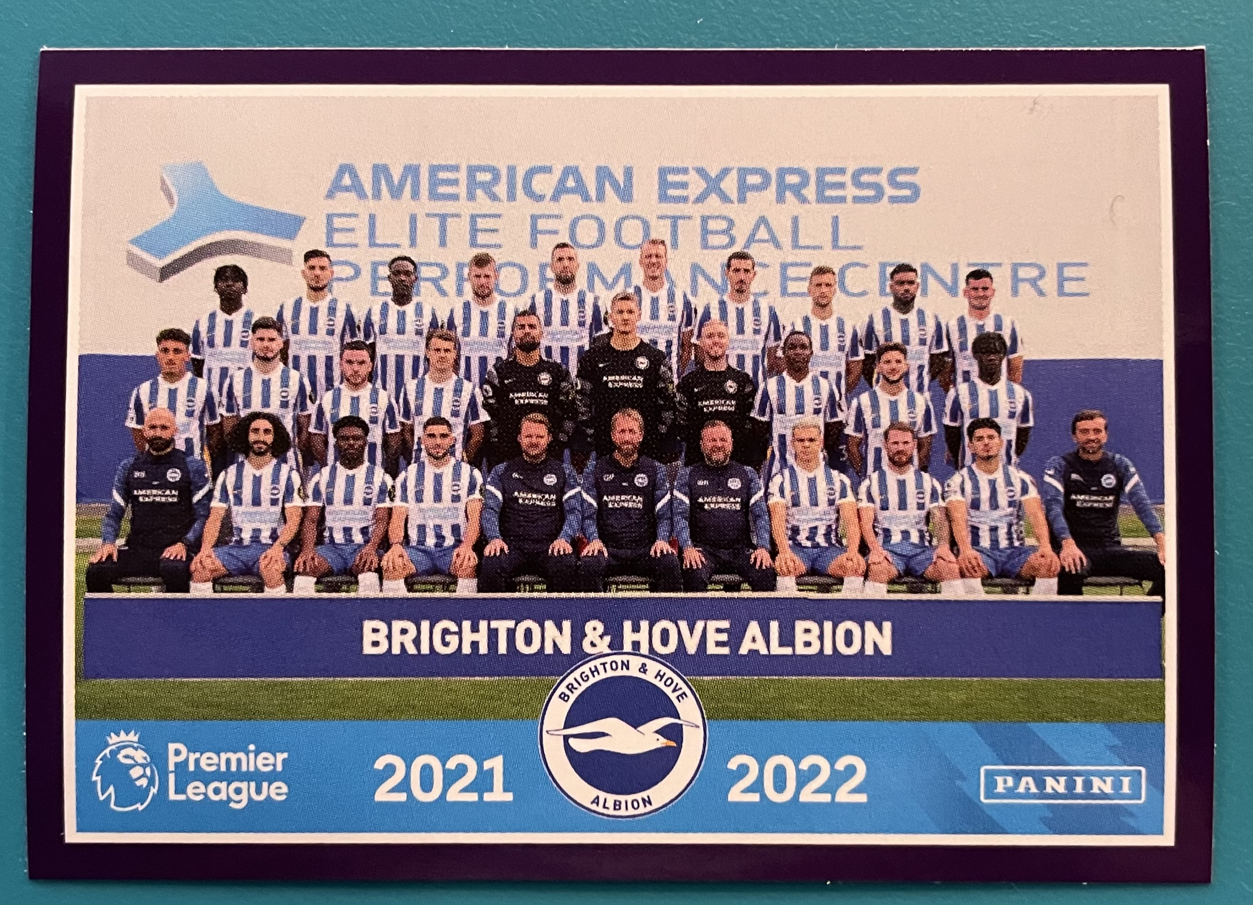 Brighton and hove Albion 2022 team panini sticker