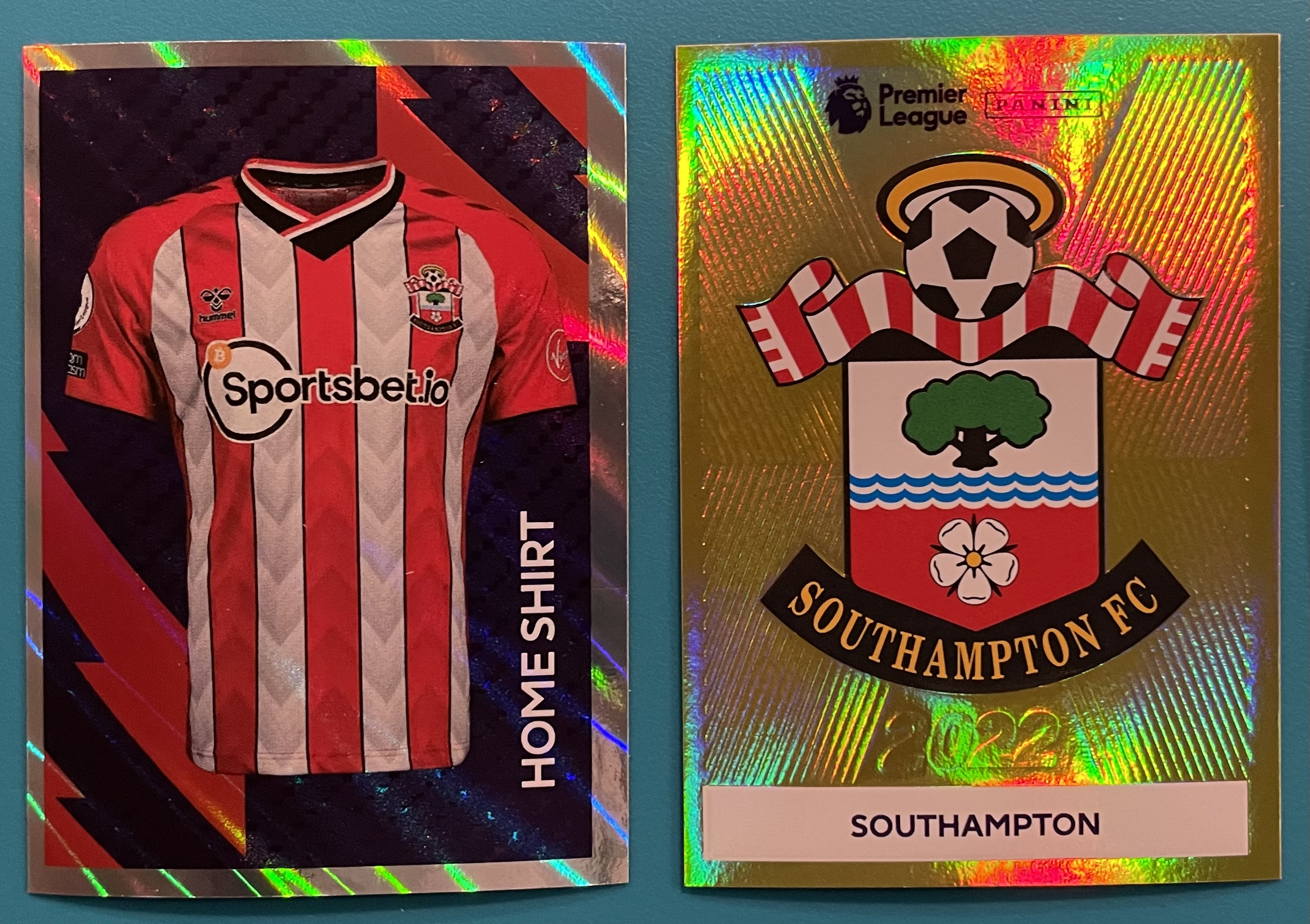 southampton 2022 panini stickers