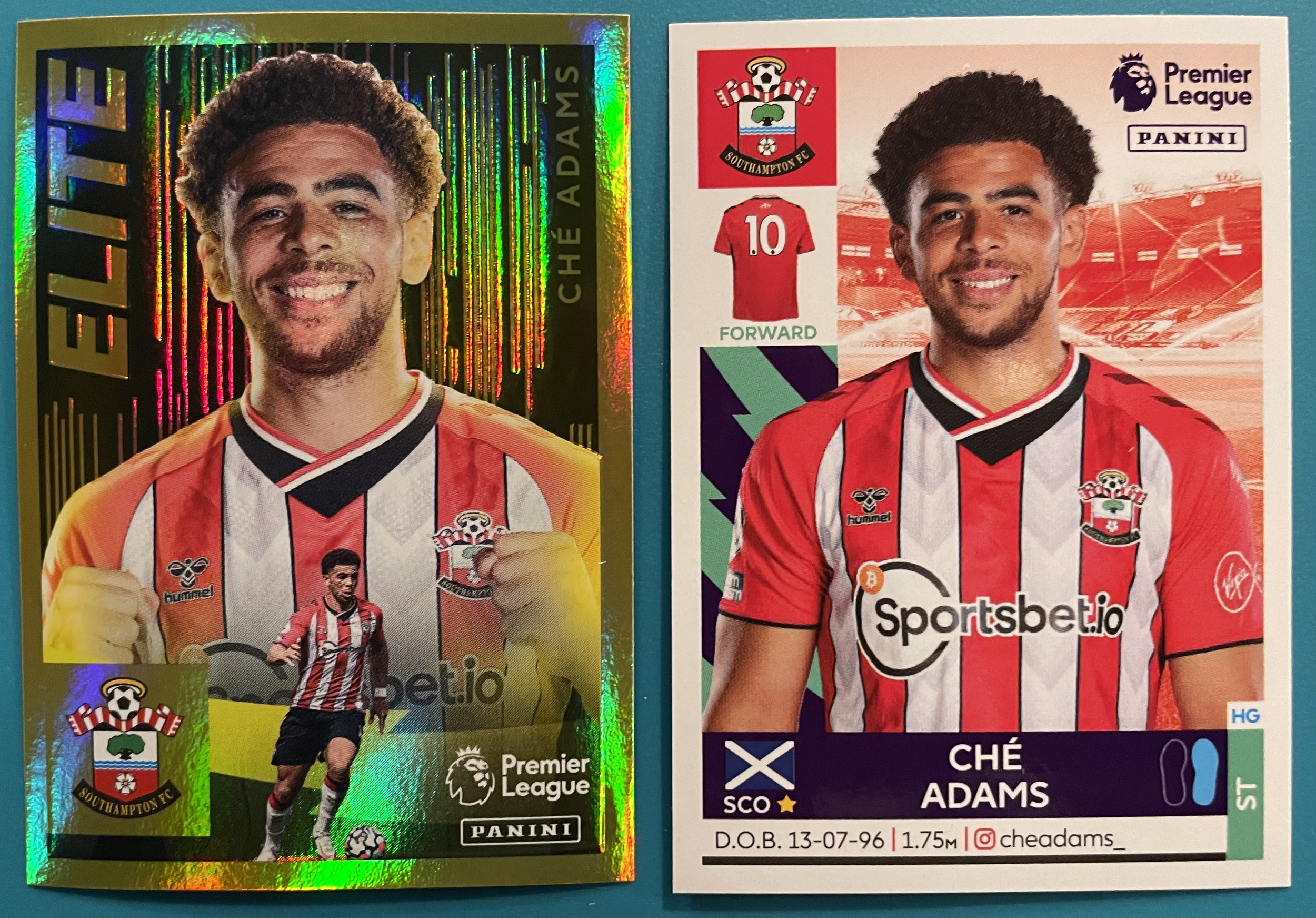 che adams 2022 panini sticker