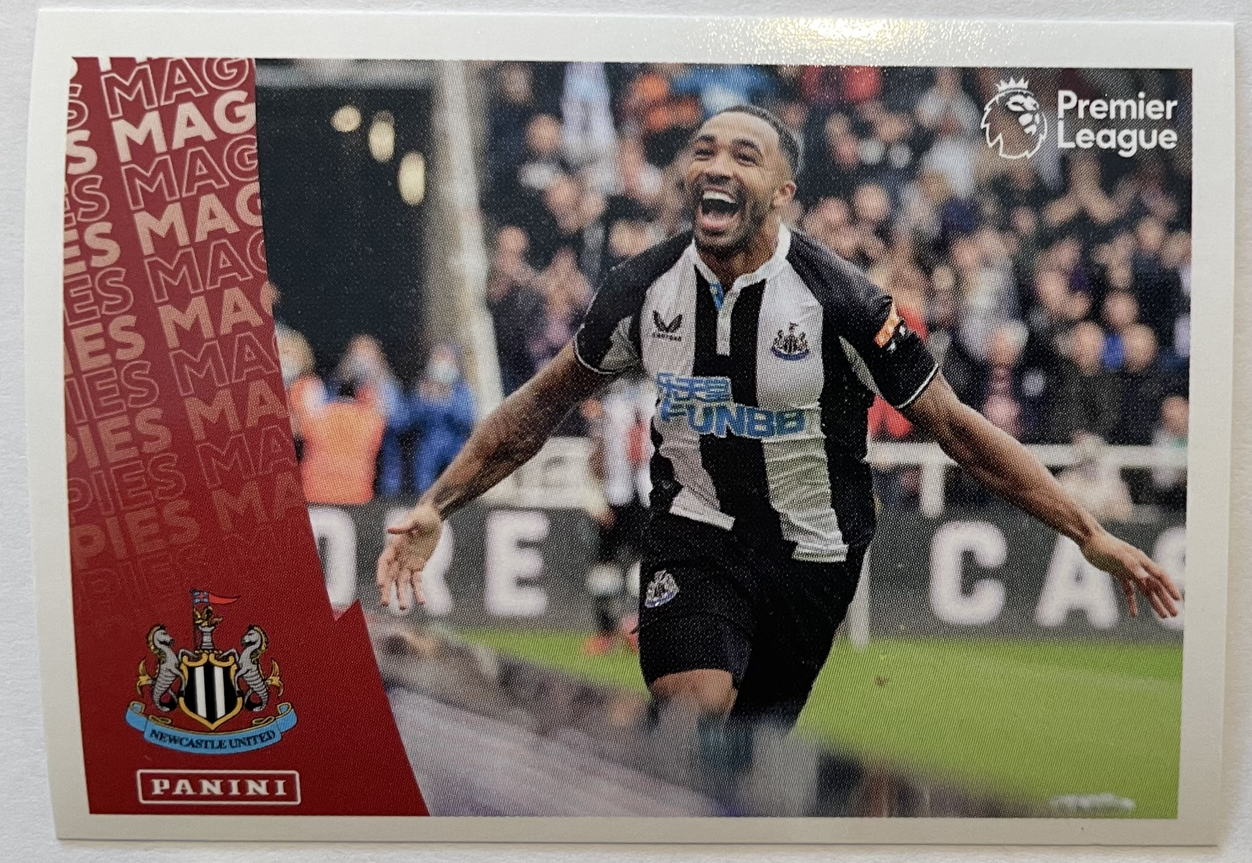 newcastle team celebration 2022 panini card