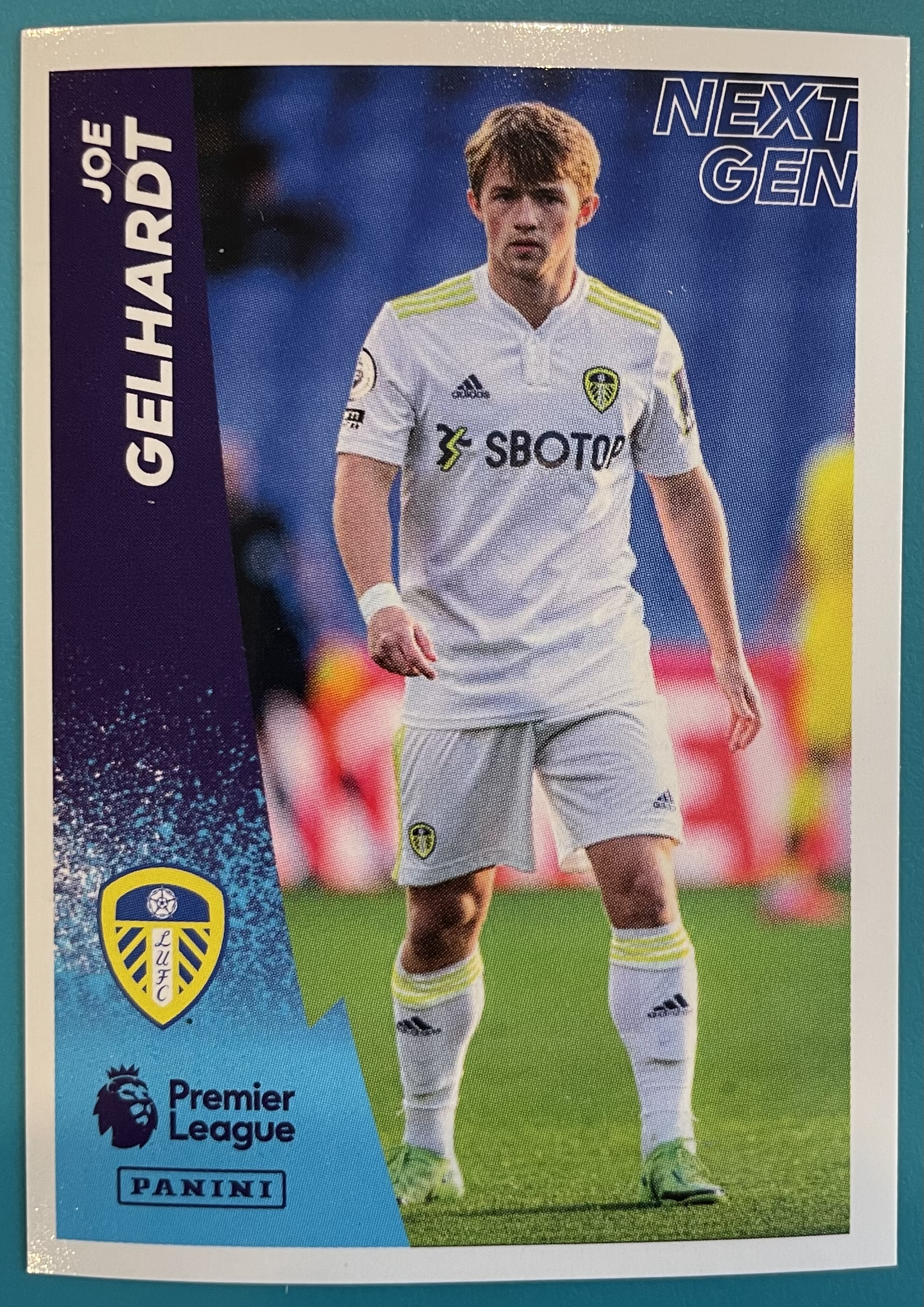 joe gelhardt rookie card