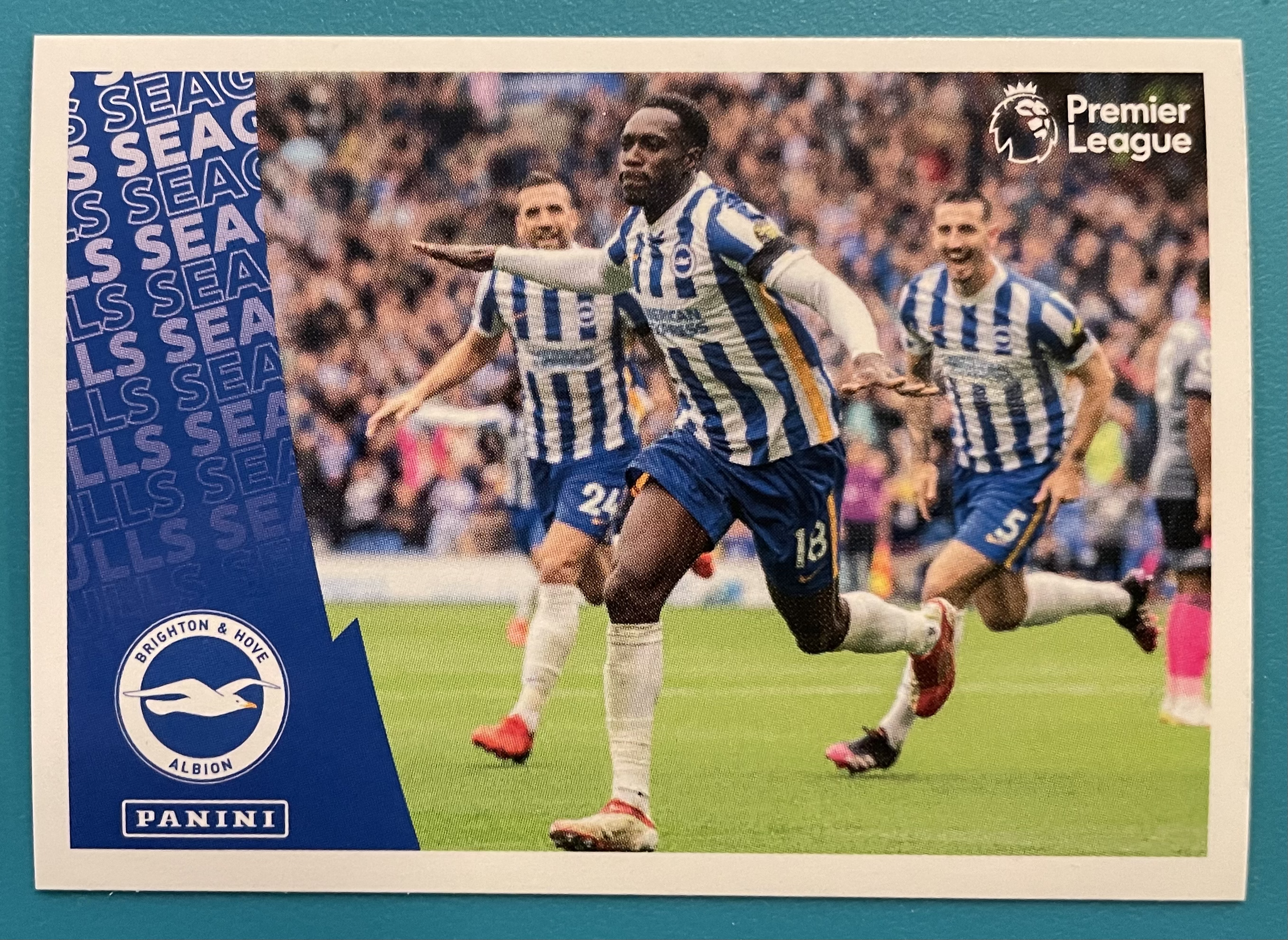 Brighton and hove Albion celebration 2022 panini sticker