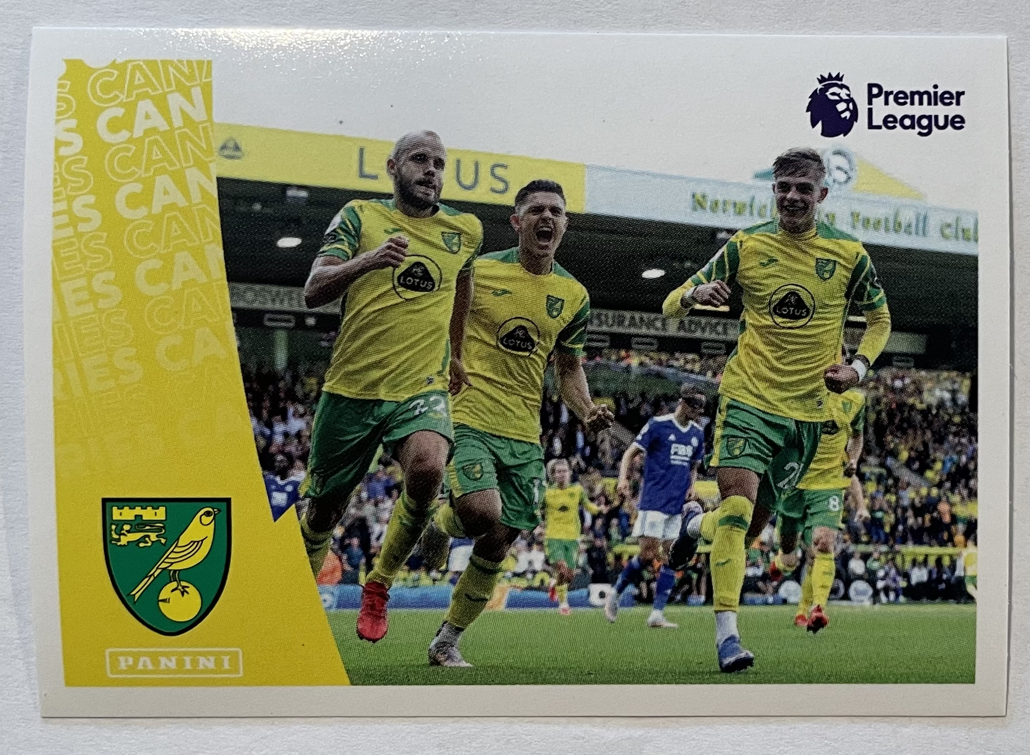 norwich team celebration 2022 panini sticker