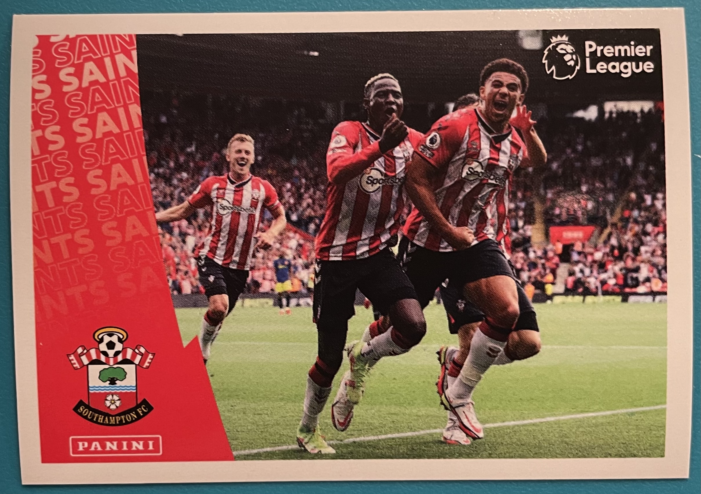 southampton celebration2022 panini stickers