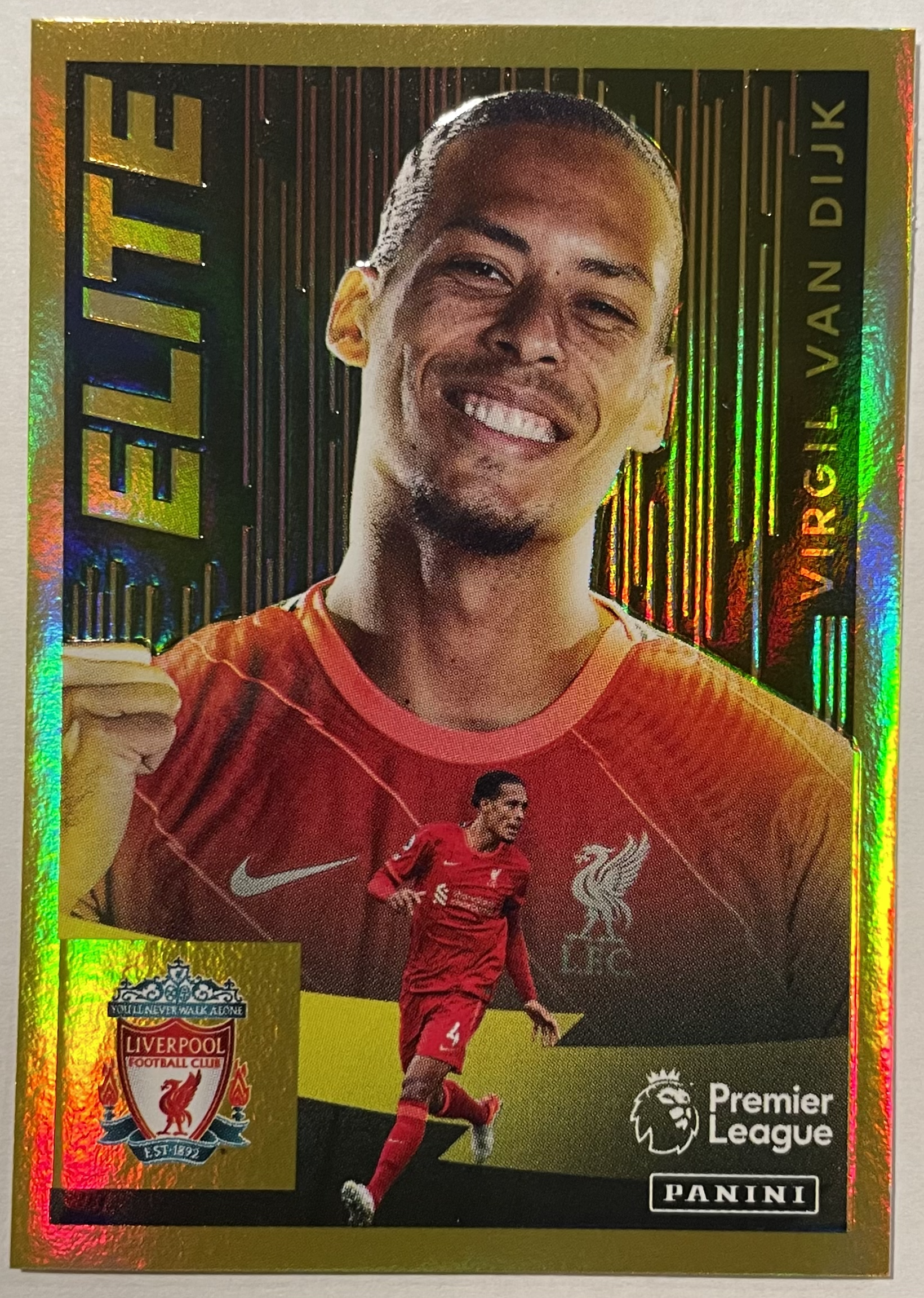 virgil van dijk elite 2022 panini sticker