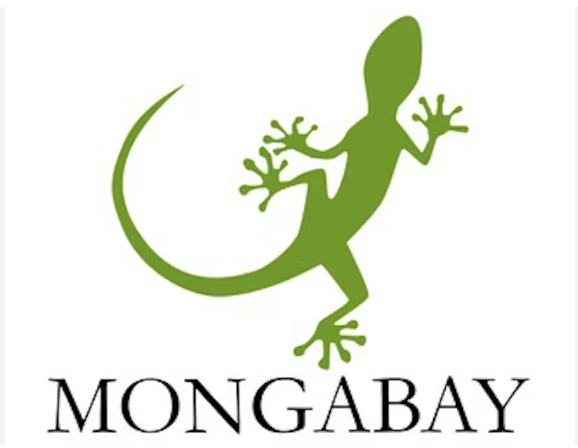 Mongabay.png