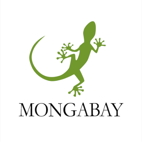 Mongabay.png