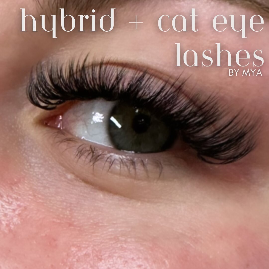 Ugh&hellip; we just love it. 🤩

These Hybrid Cat Eyes by Mya are everything on this Monday.

Ready to book? Click the link in our bio!

#lashextensions # #lash #lashextension #lashlove #lashes #lashartist #lashartistry #lasheducation #lashboss #lash