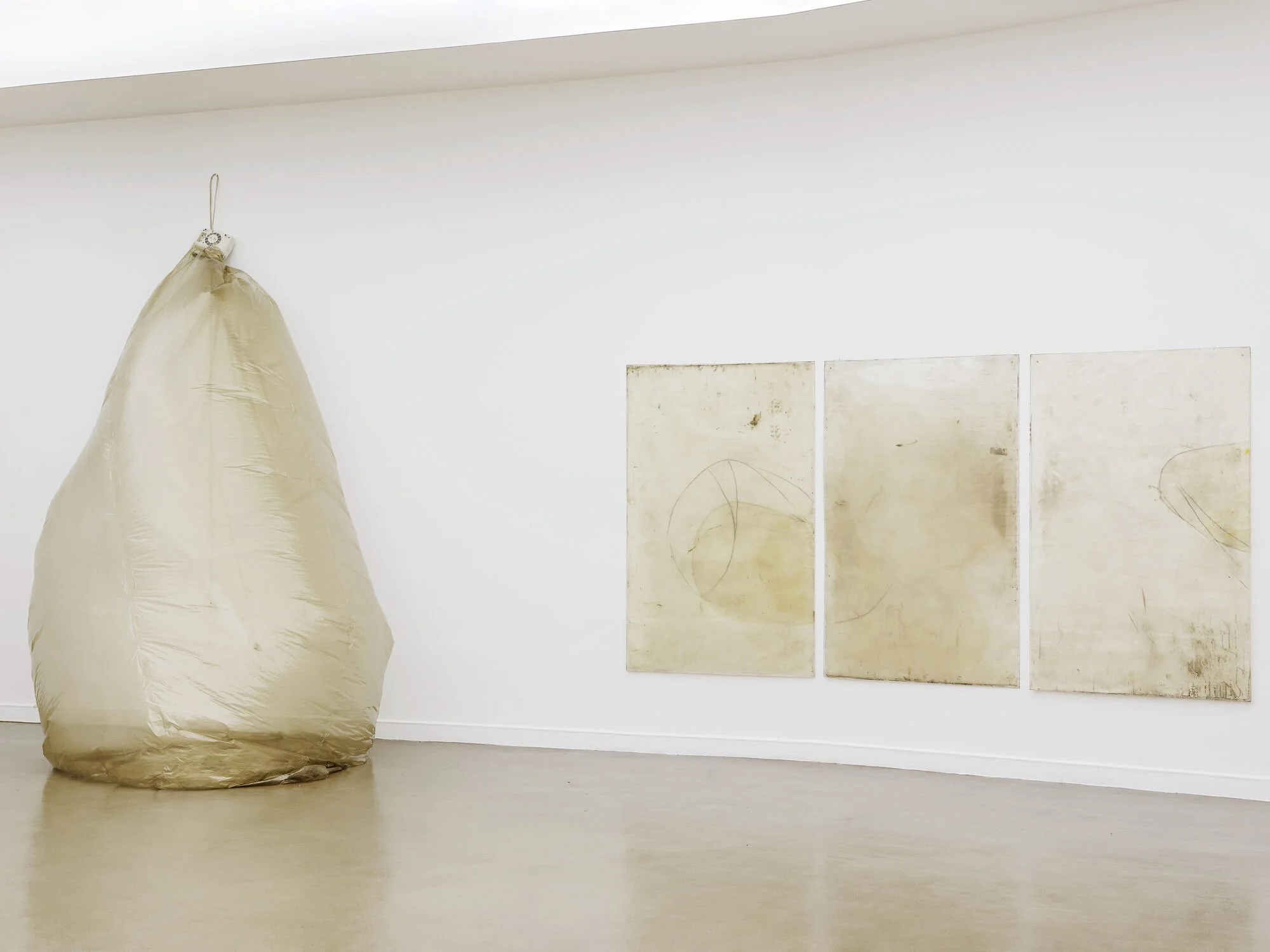 ian kiaer, endnote (tooth), 2017