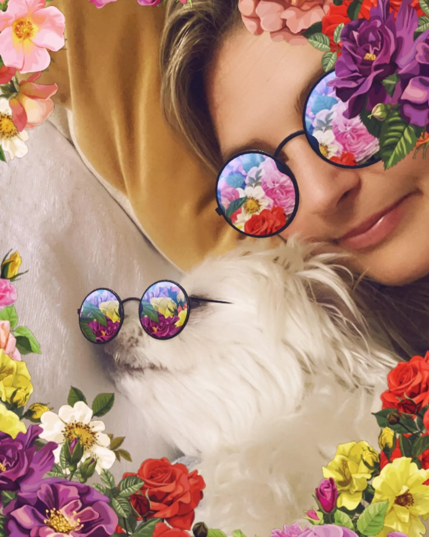 Having too much fun on Snapchat. It&rsquo;s the primary social media I use to connect w my tweens&mdash;esp my grumpier tween. This pic features the star ⭐️ of our family, Benson #dogsofinstagram #maltese