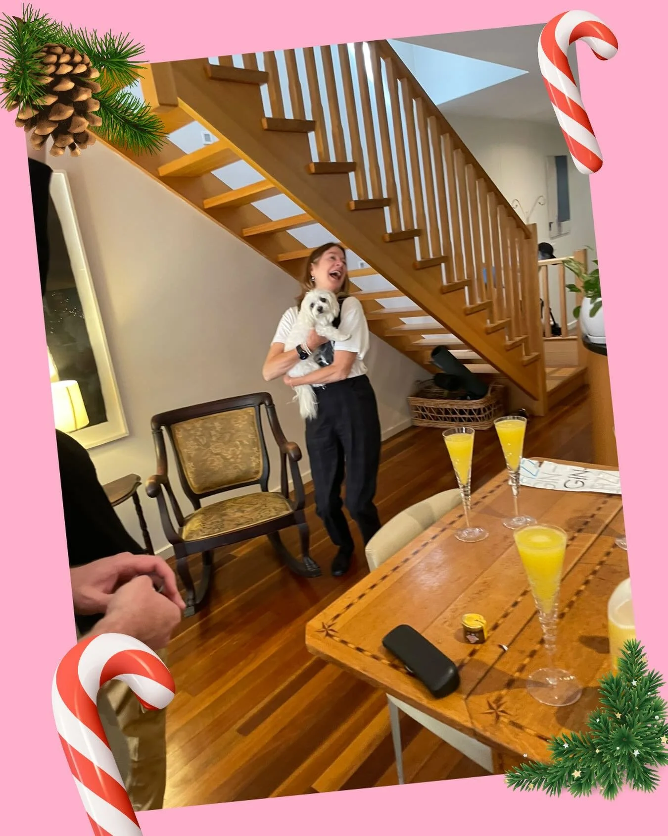 It&rsquo;s mimosa time when Foxy drops by🥂🍊Tis the season