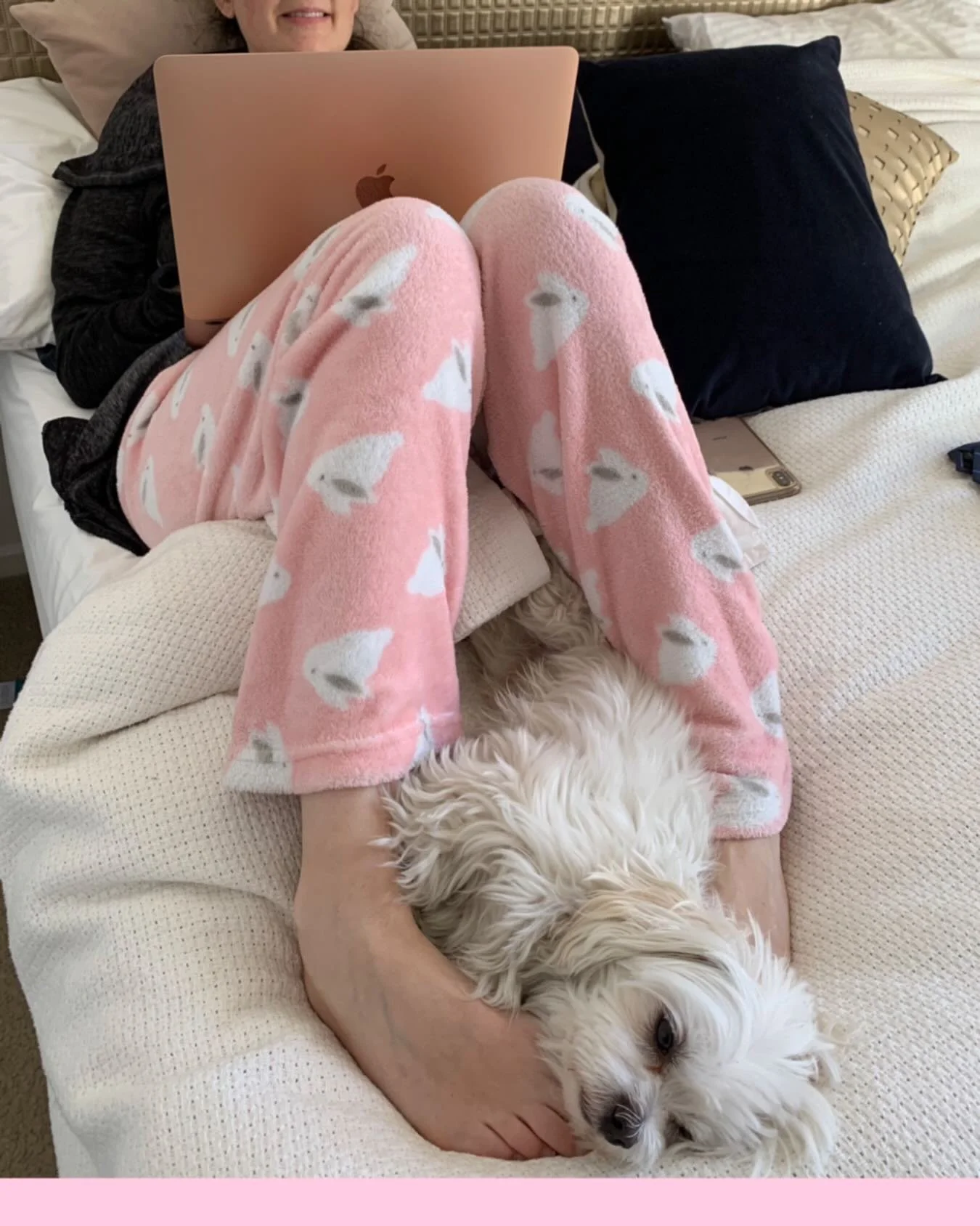 Best. Foot. Warmer 🐾