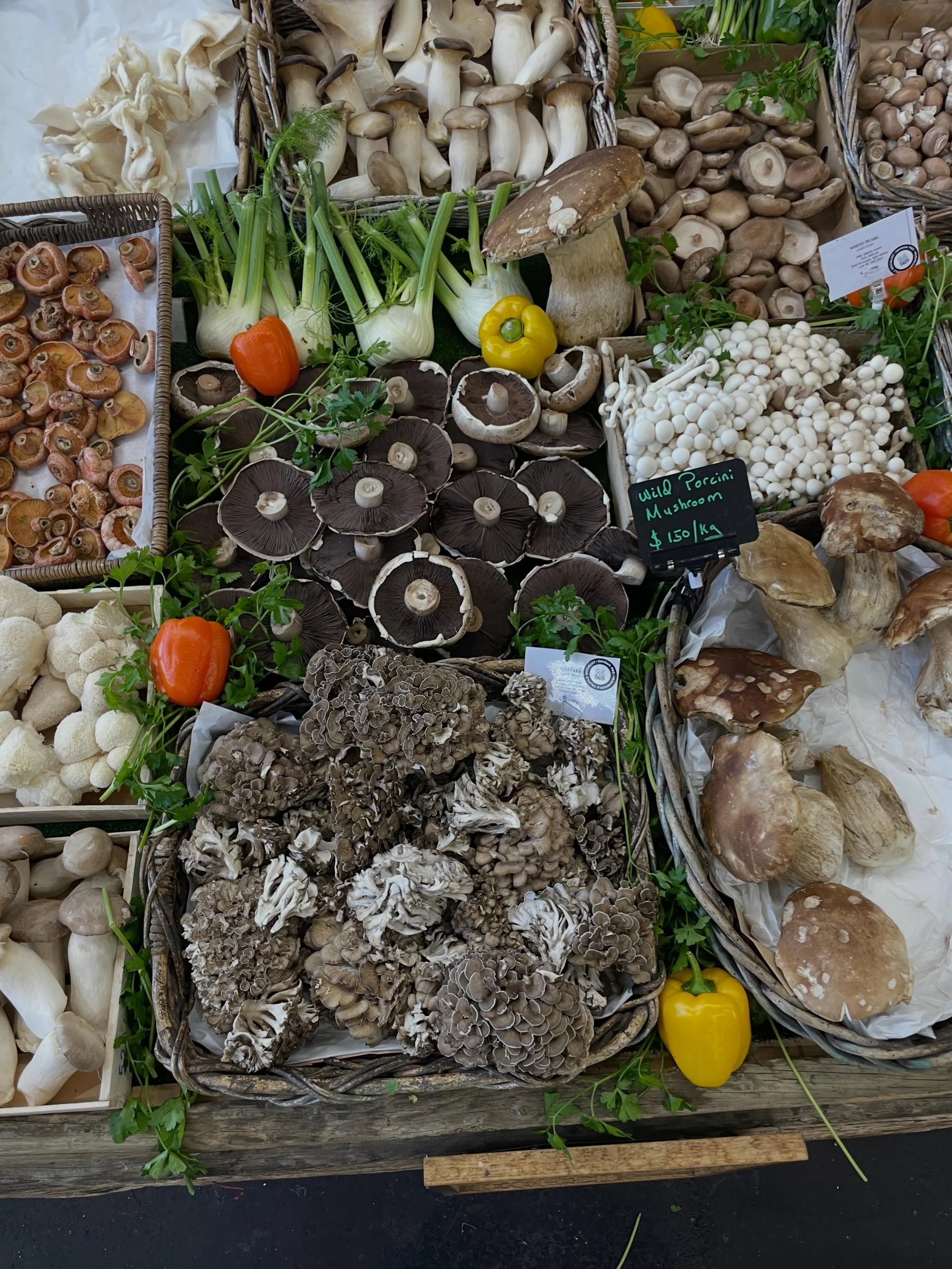 🍄&zwj;🟫💛 #PrahranMarket  Pike&rsquo;s Wild Mushrooms. 40 varieties of mushrooms &amp; seasonal truffles and white asparagus. #melbourne