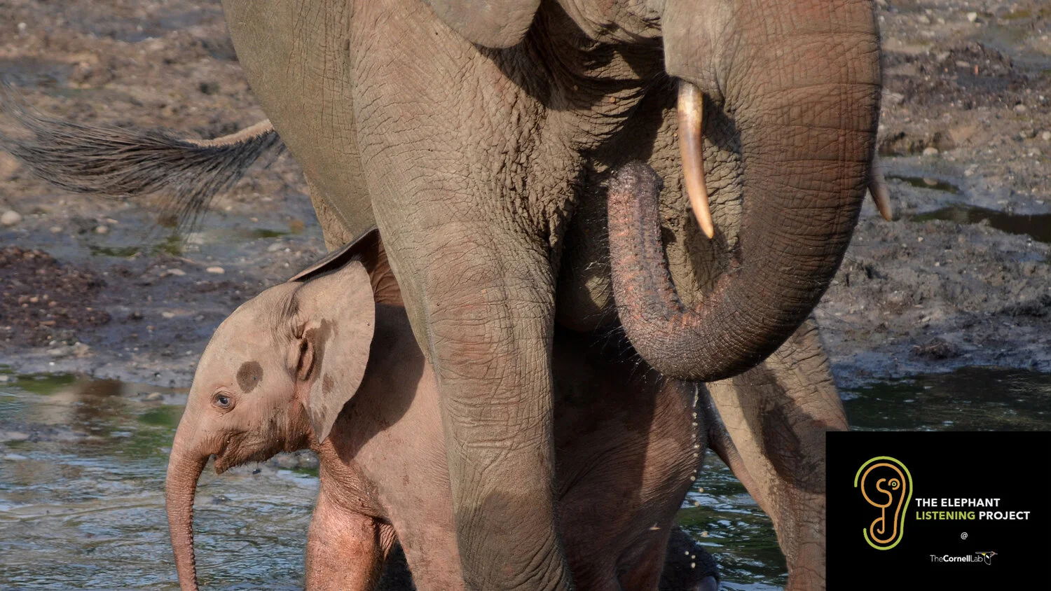 Event Hero Image - Habitat.jpg