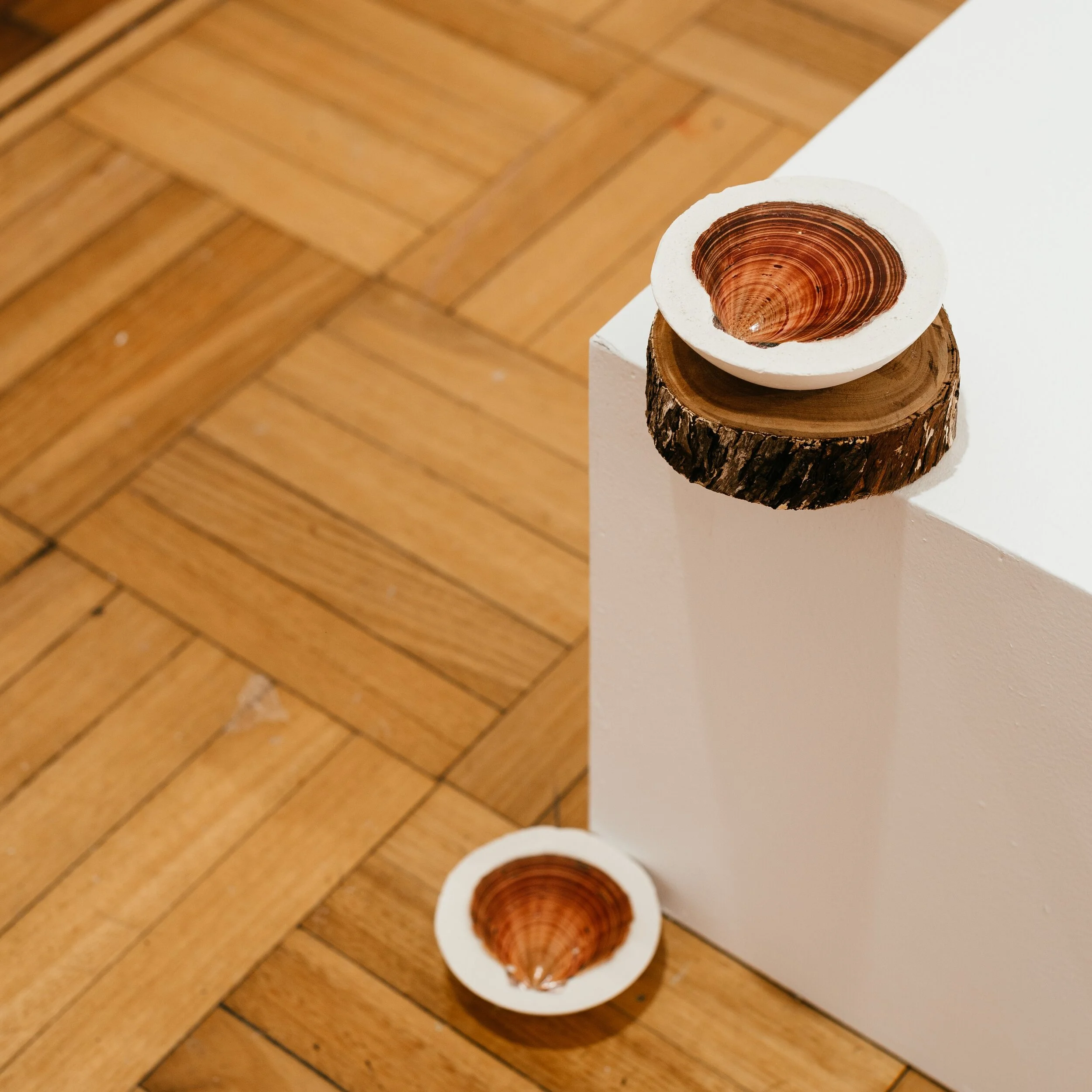 IN CONVERSATION: Elham Eshraghian-Haakansson &amp; Samantha Taylor