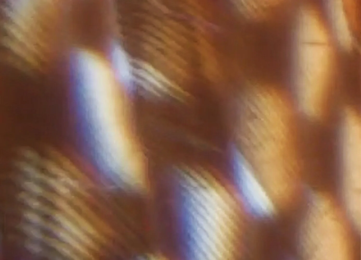 JASMINE LOW, MATTHEW MIFSUD, HAIDEN NETTLE &amp; DANA SINNAMON - SPECTRAL ARCHIVE