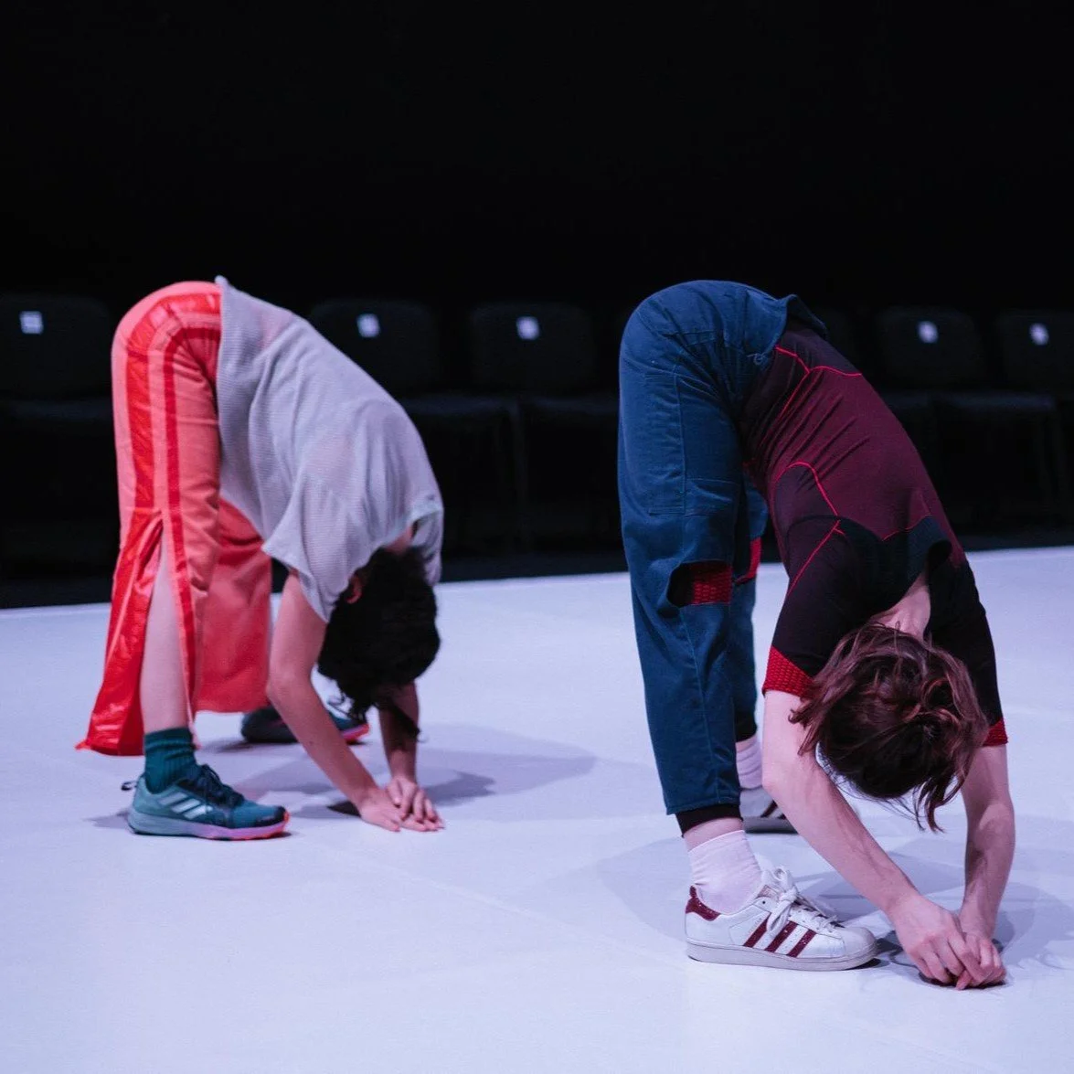 PRACTICING CONNECTIONS IN MOVEMENT: INTRODUCTION TO KLEIN TECHNIQUE™