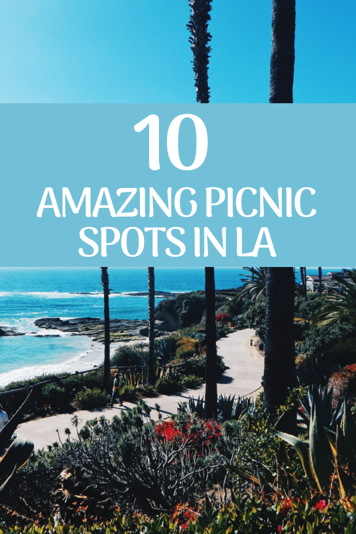 picnic pin.png