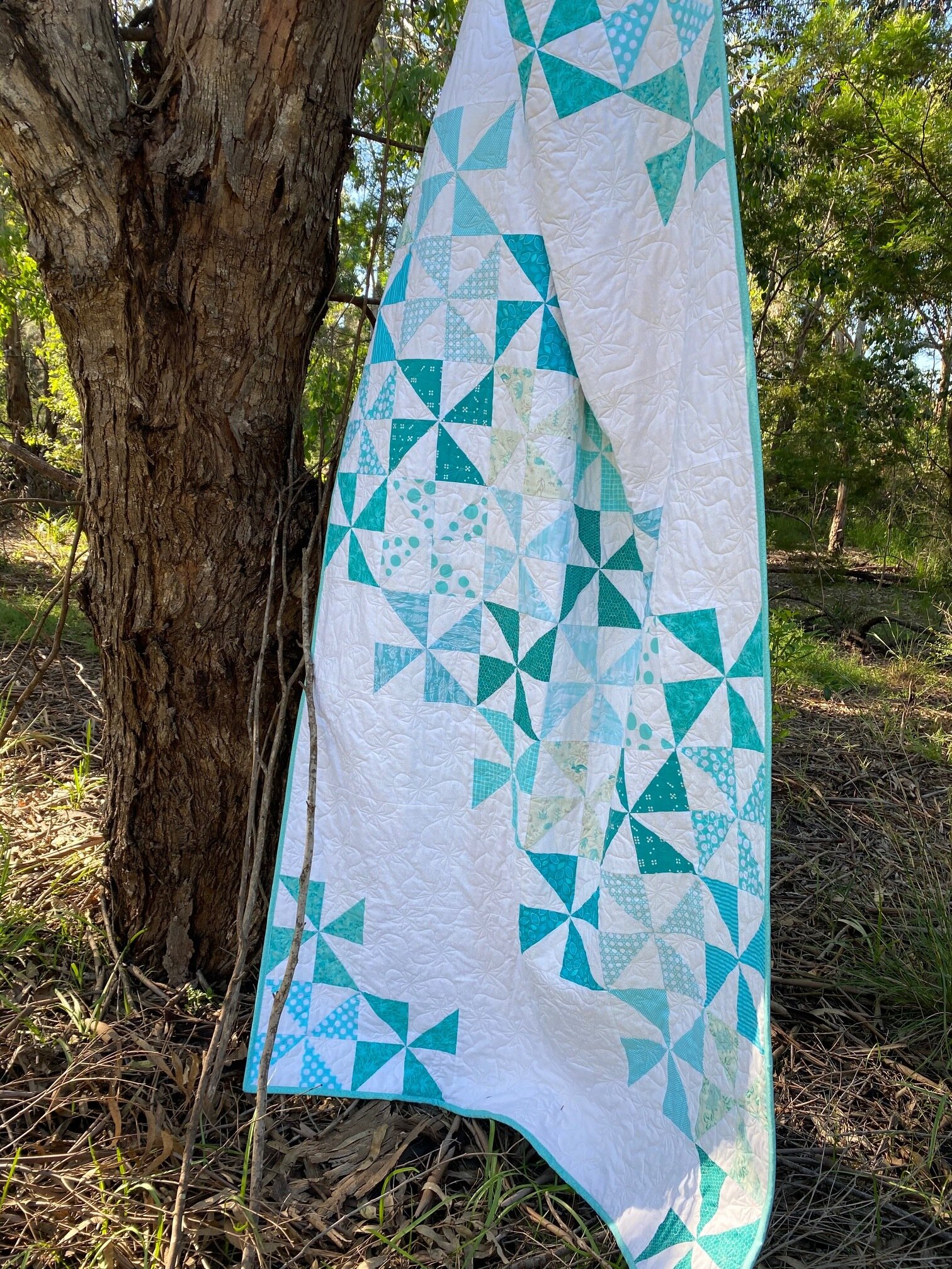 6CA490A6-7A26-4391-A60F-55CD68E67822