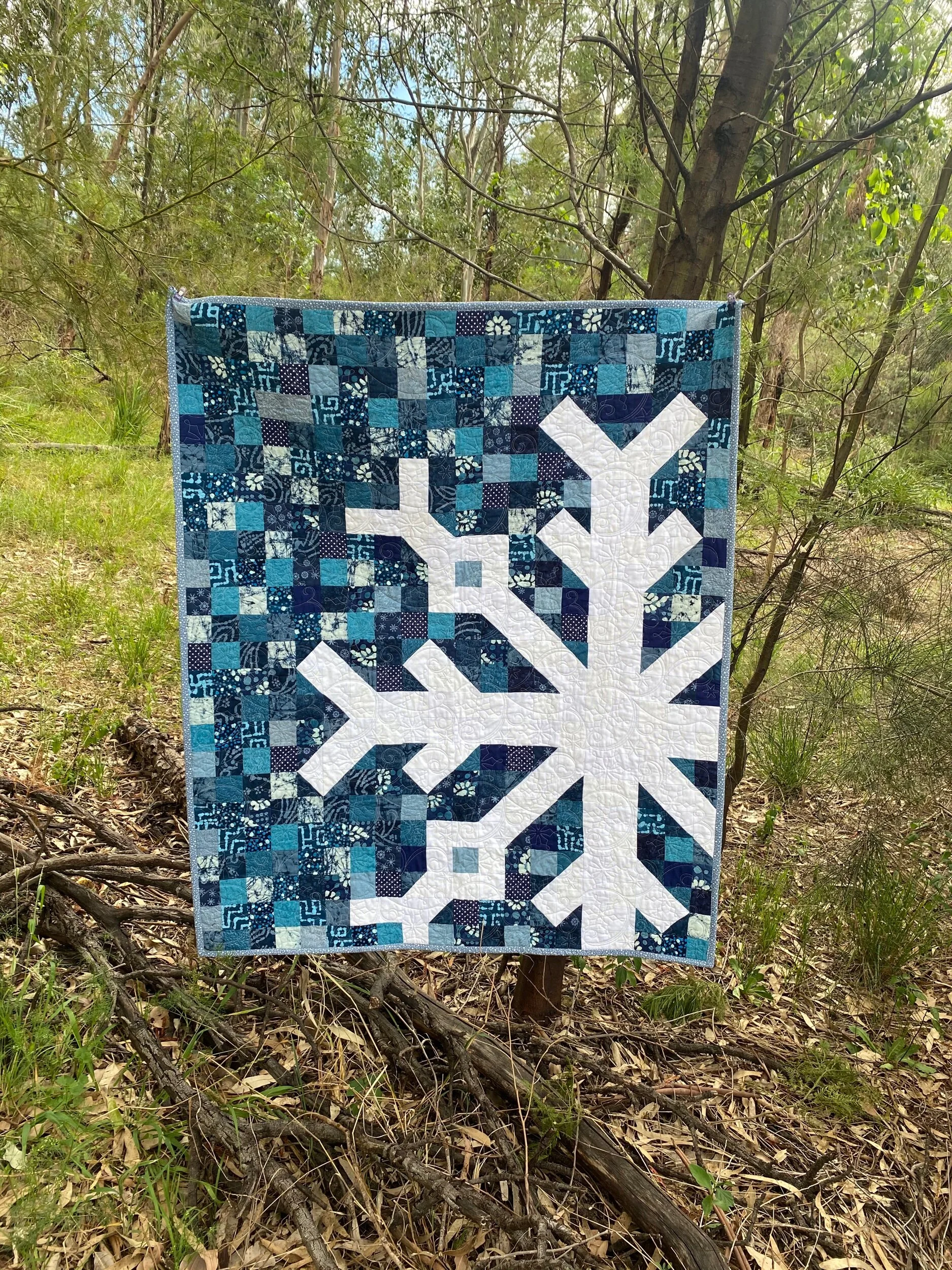 9BEC90C5-7E1B-4A86-88BD-3302E529804F