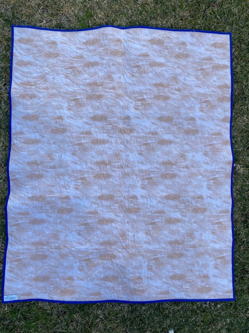 Aussie Animal Blue 5.jpg