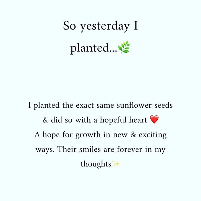 Sowing seeds of hope, one day at a time. Big thanks to all of you who have left such a positive imprint on my daily thoughts. 🌿