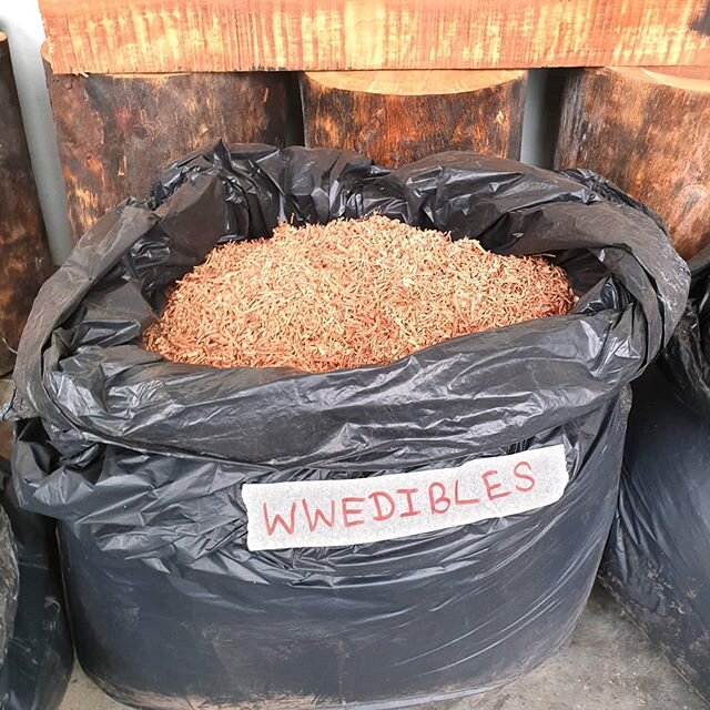 Sharing the Green: fresh Singapore Angsana & African Mahogany wood chips from our planer - headed to @wwedibles.sg (not the trash! this is good stuff for planting) so they can grow their SG grown produce.
#madeinsingapore
#arthurzaaro
#sustain