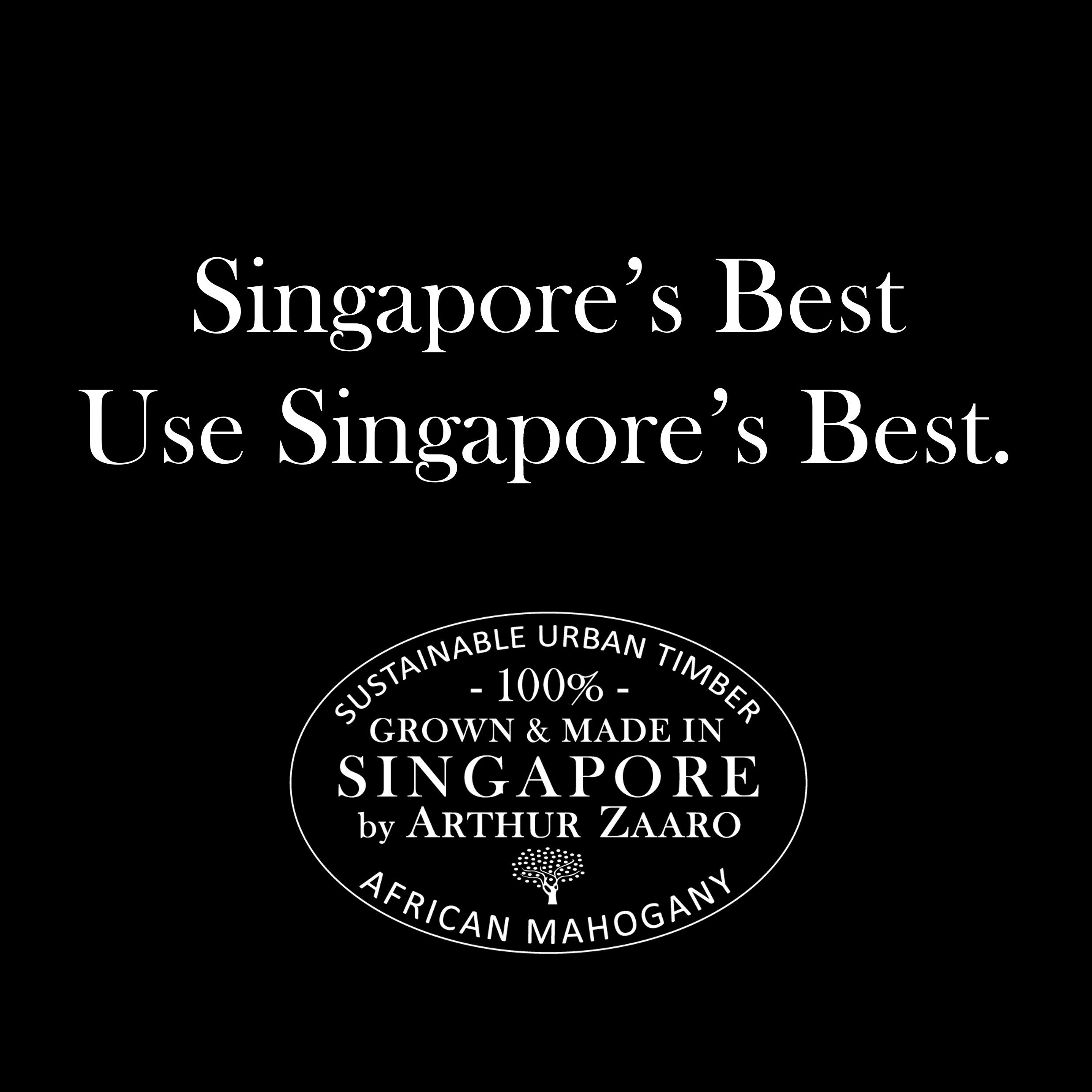 singapores best sq.jpg