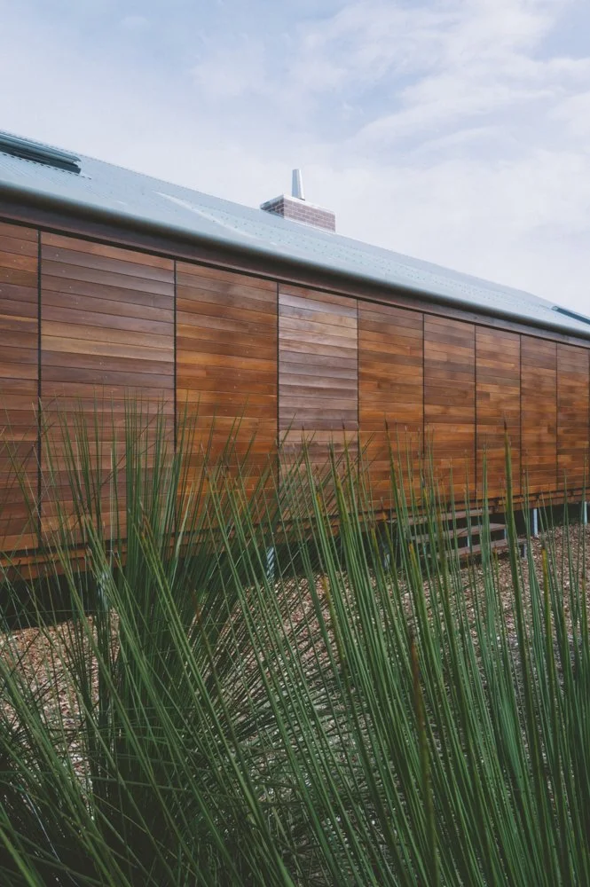 20230331-DSC_6670-Edit copy.jpg