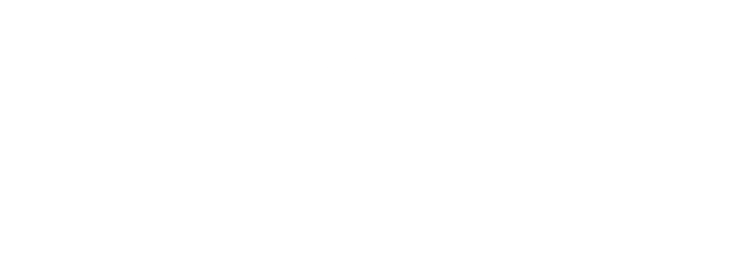 DJ WAVES