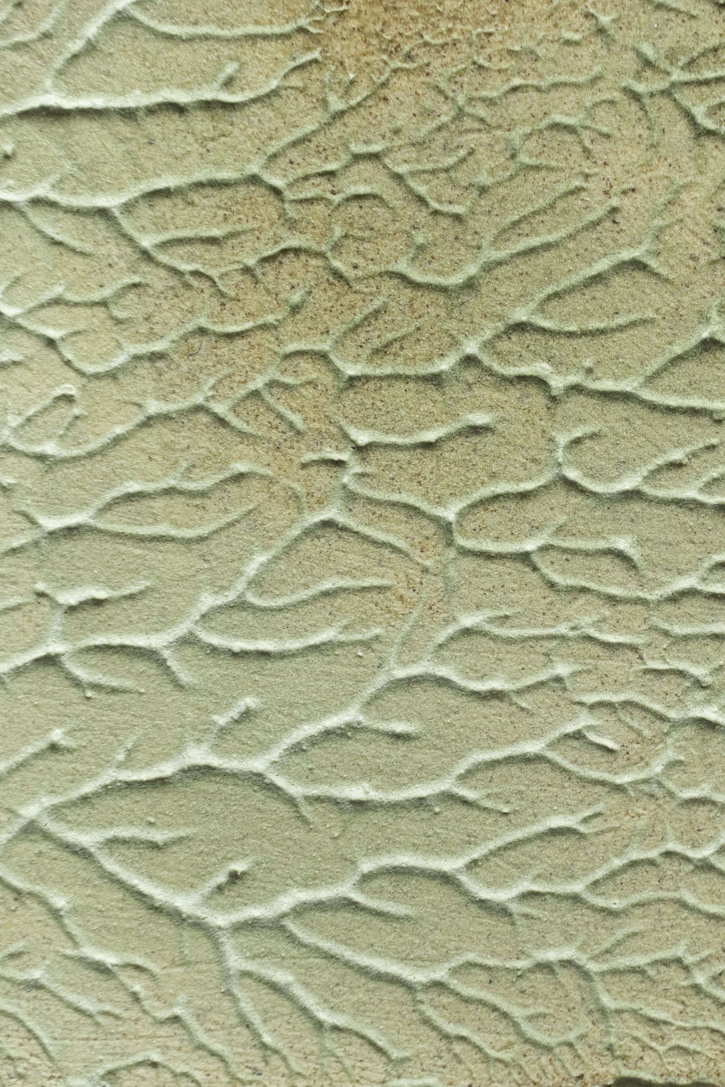 Terraforms: The Shapes of Natural Intelligence for Ecological Design ...