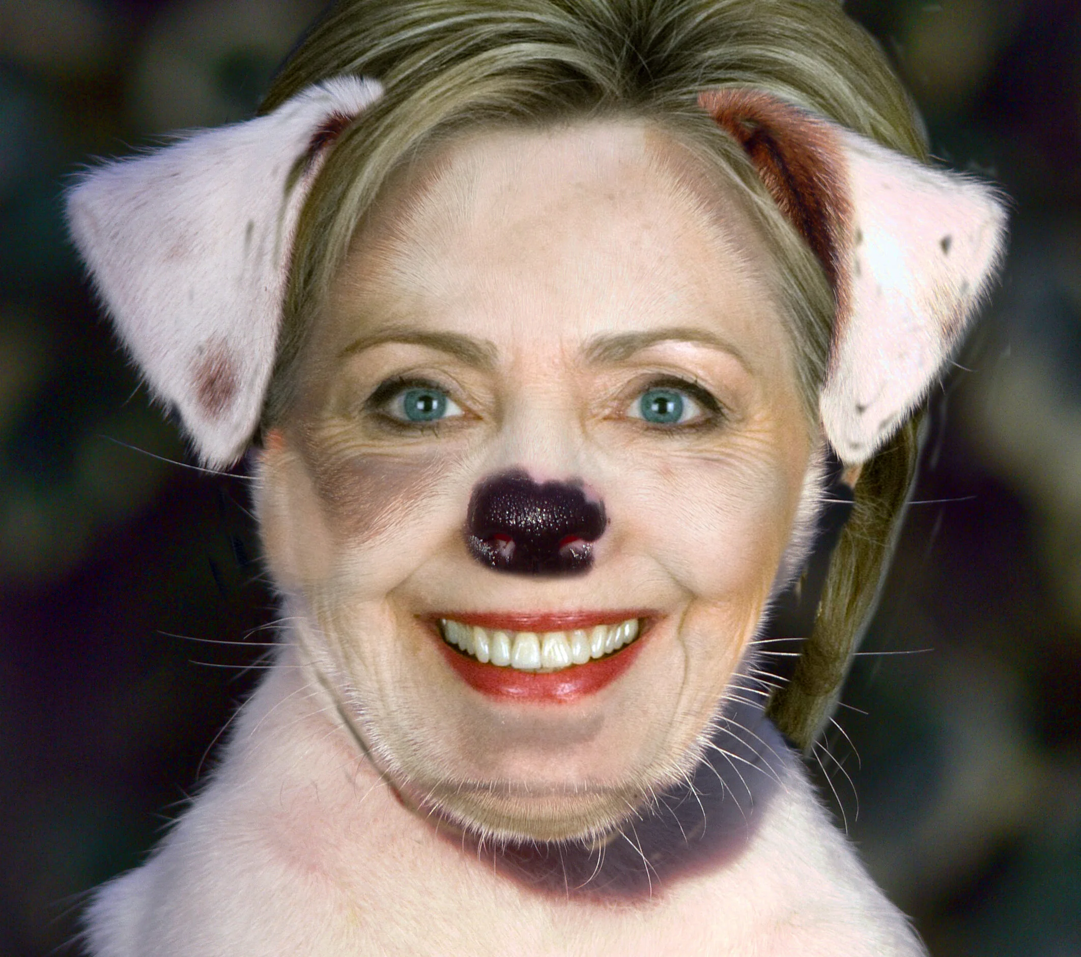 hillarydawg.jpg