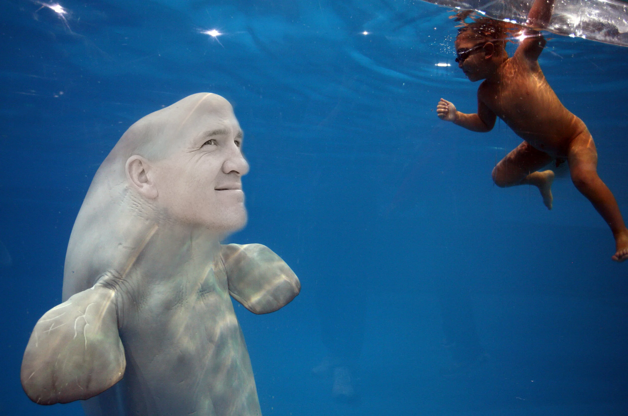 whale-manning.jpg