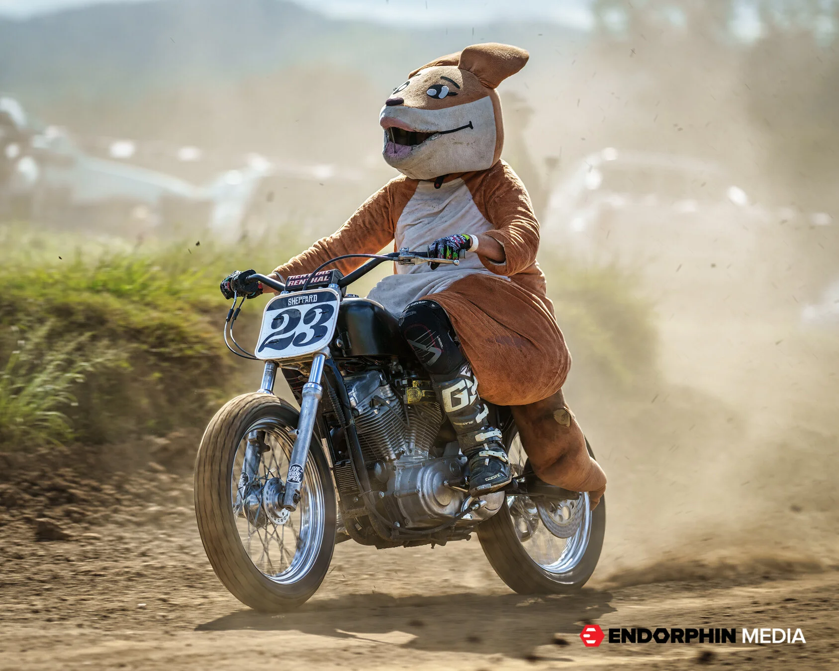 Dusthustle QMP 2021 - 16770-2.jpg