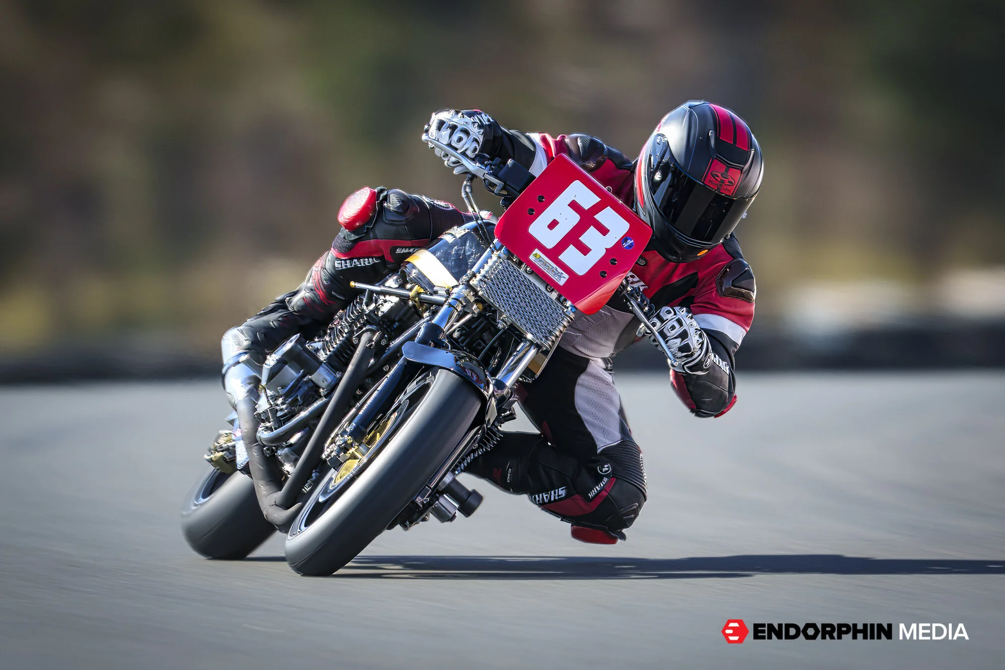 QCRRC - 08 September 2021 - 32782-2.jpg