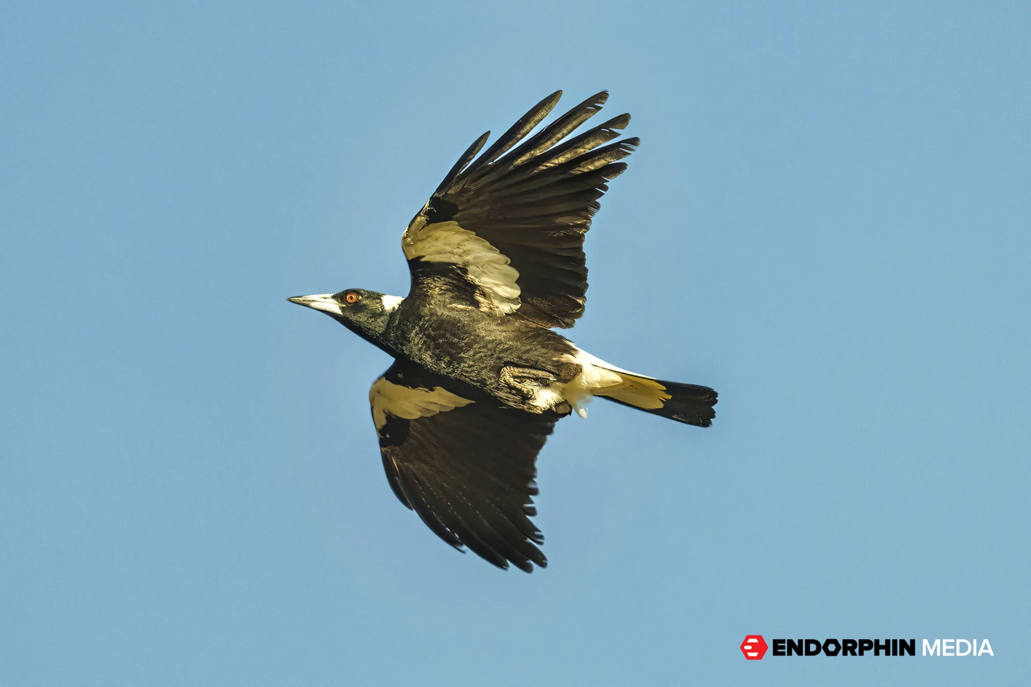 DWSP- 18 September 2021 - 38819-2.jpg