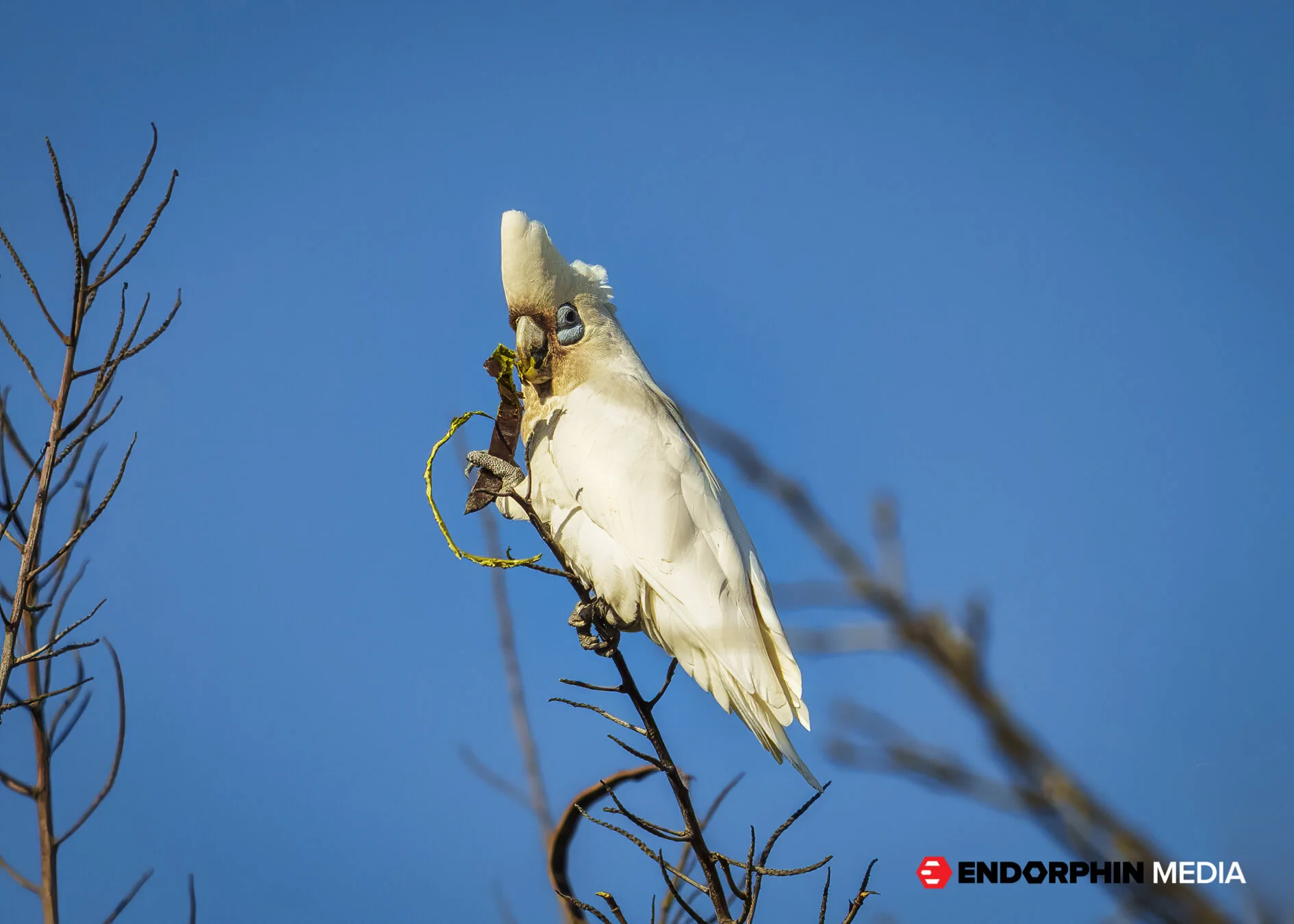 DWSP- 18 September 2021 - 38818-2.jpg