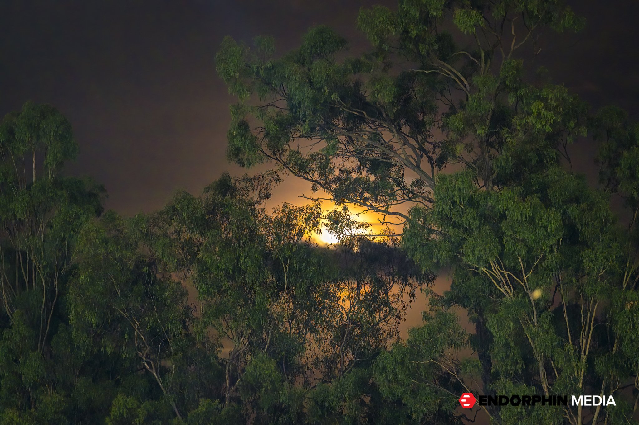 Qld MiniMoto - 18 Jan 2022 - 56969-2-2.jpg