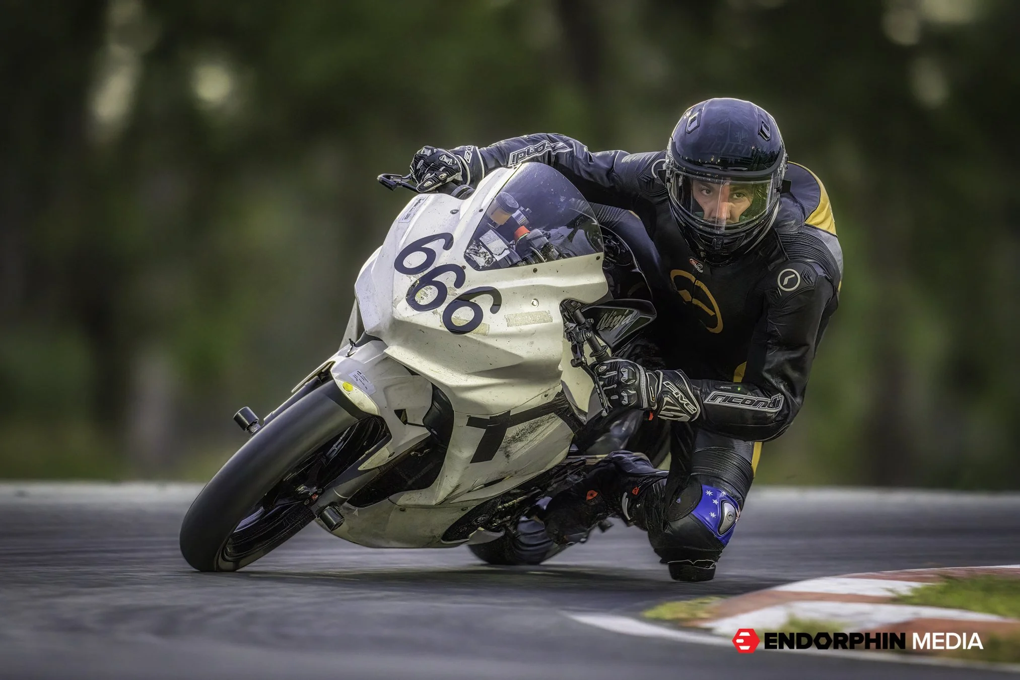 Qld MiniMoto- 15 Feb 2022- 6634-2-2.jpg