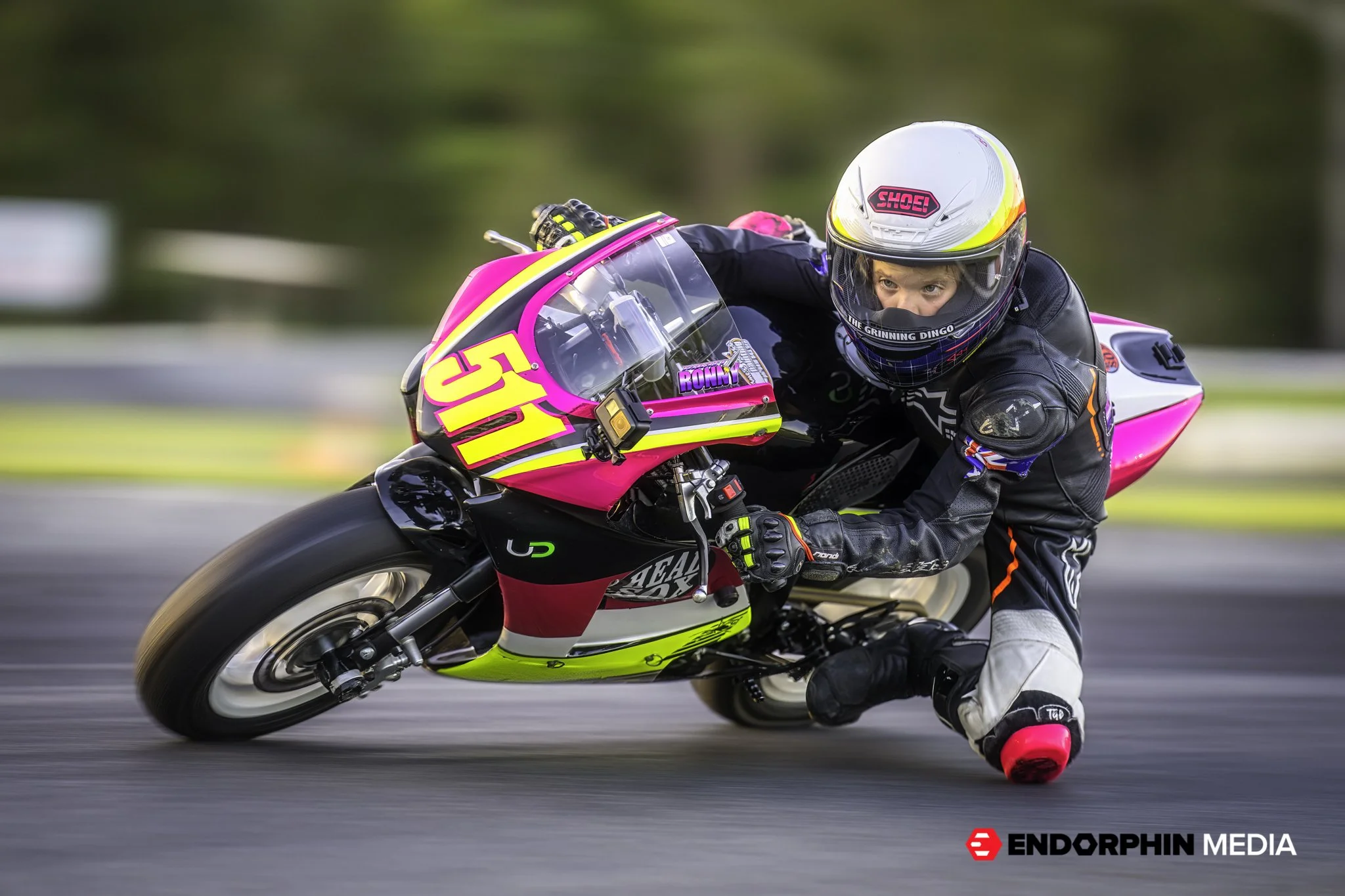 Qld MiniMoto - 11 Feb 2022- 2420-2.jpg