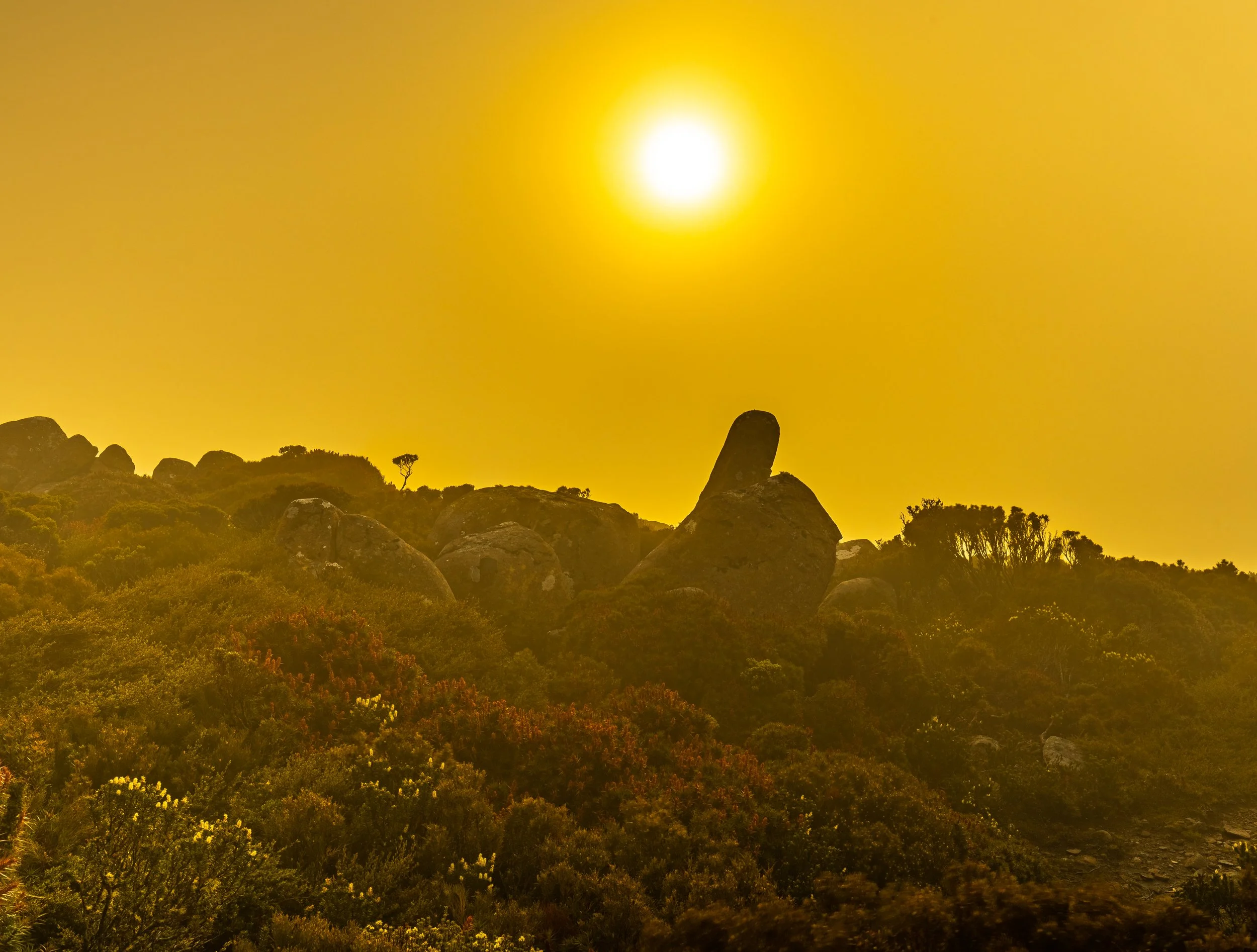0R8A5315-HDR.jpg