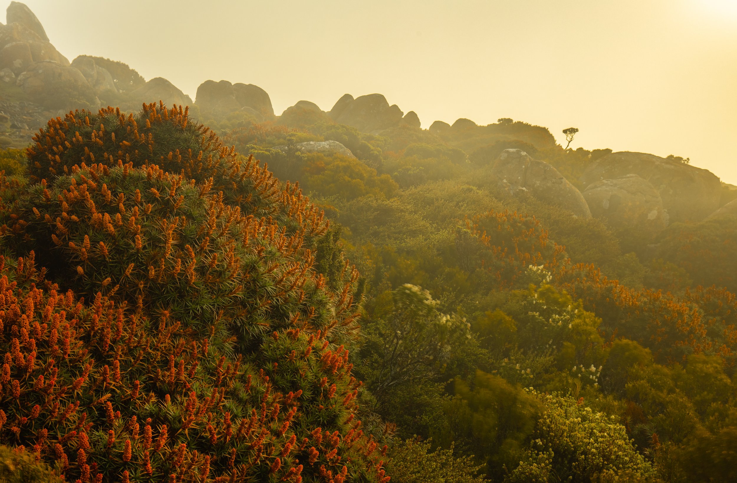 0R8A5327-HDR.jpg