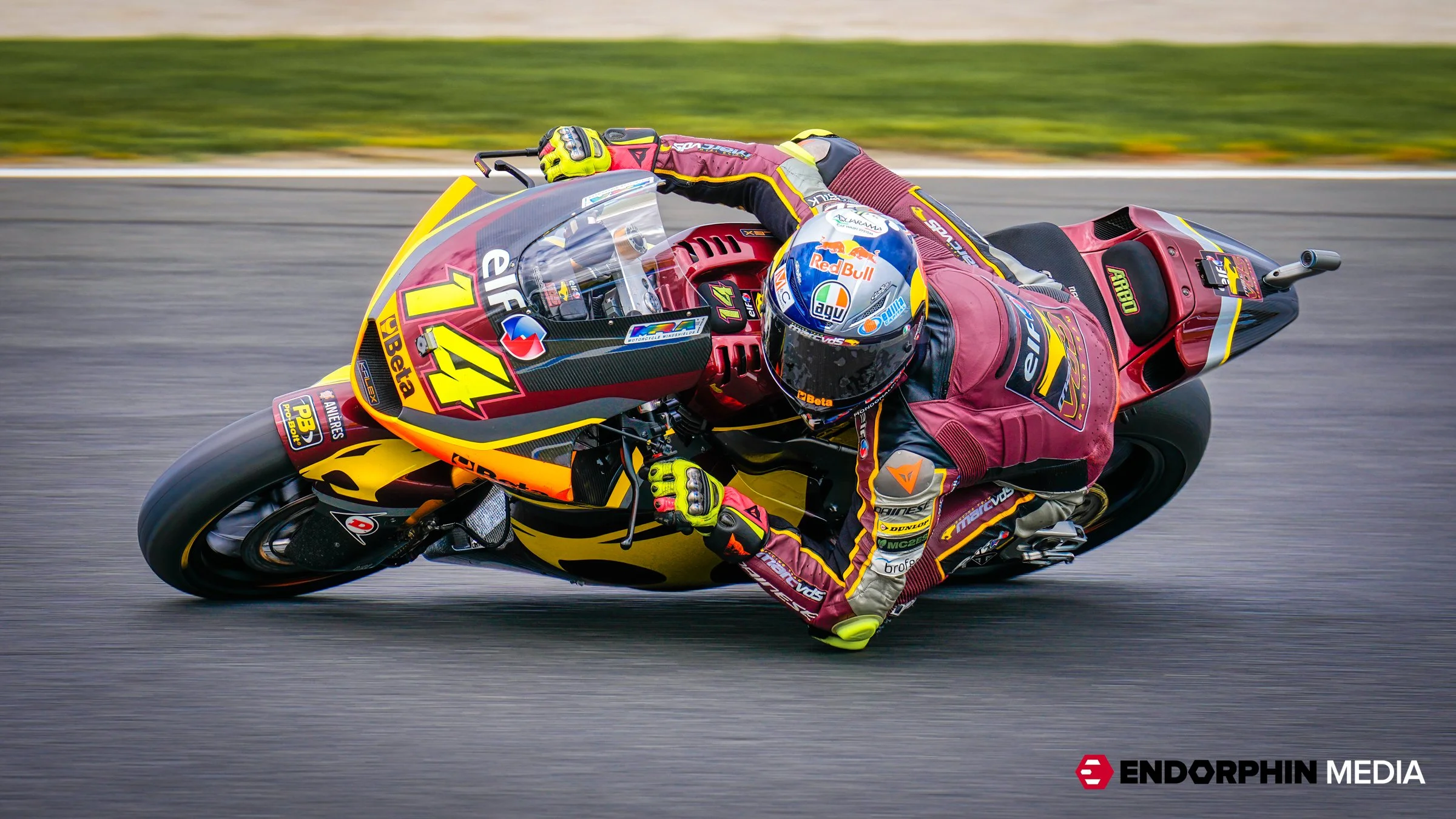 Endorphin_Australian MotoGP - 14 Oct 2022_50905-Edit-Edit.jpg