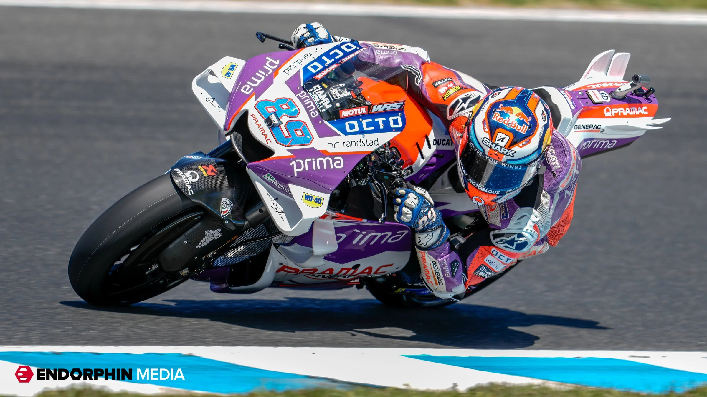 Endorphin_Australian MotoGP - 14 Oct 2022_55280-Edit-Edit.jpg