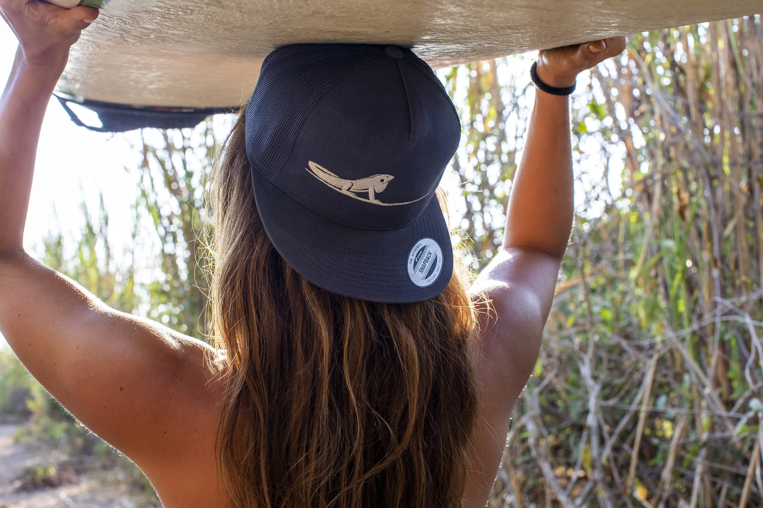 Looking for activities in Nosara, Costa Rica?