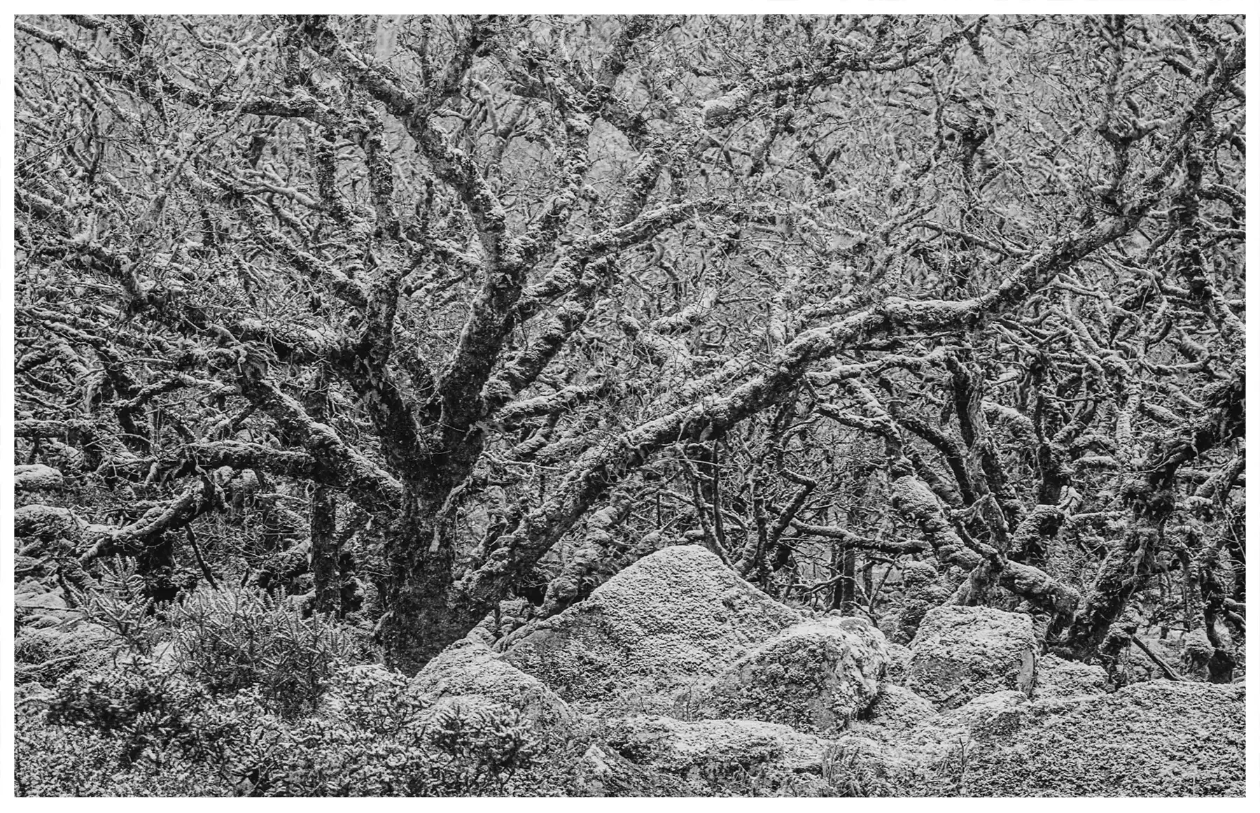 places-bw-08.webp