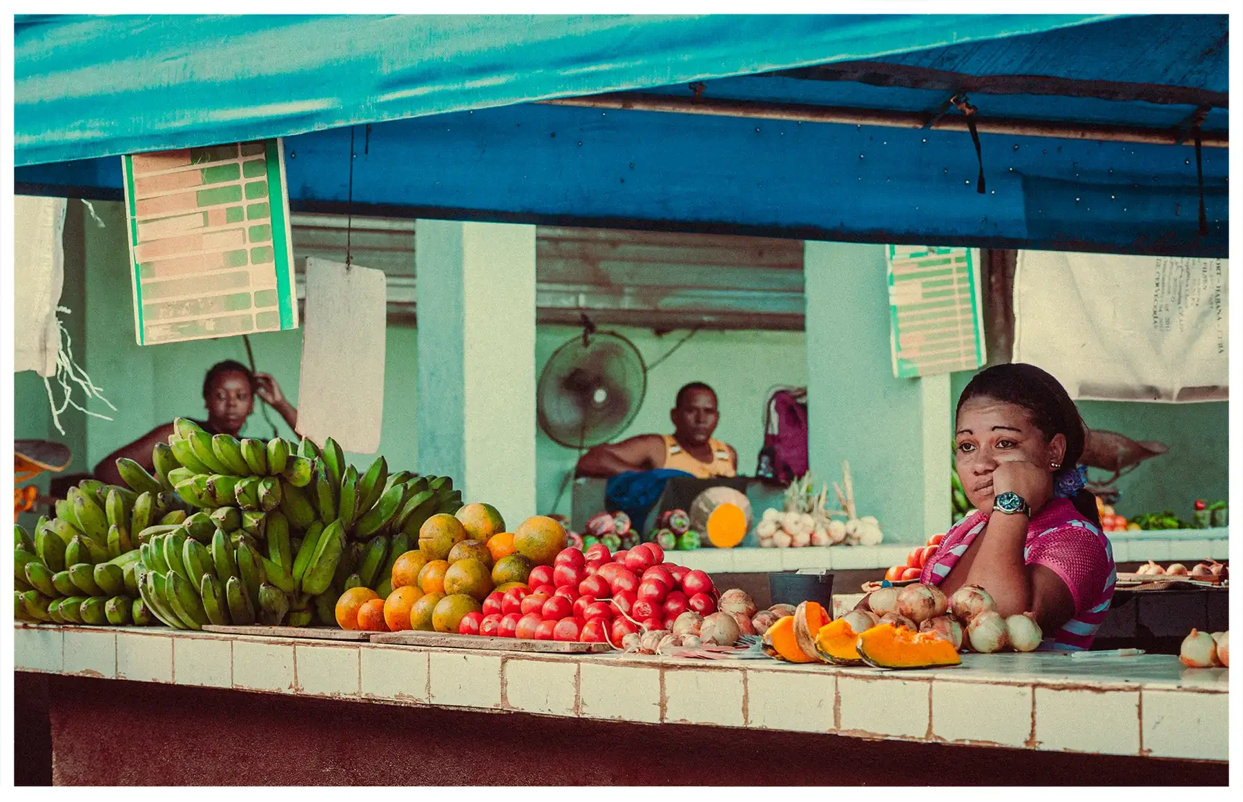 cuba-col-06.webp
