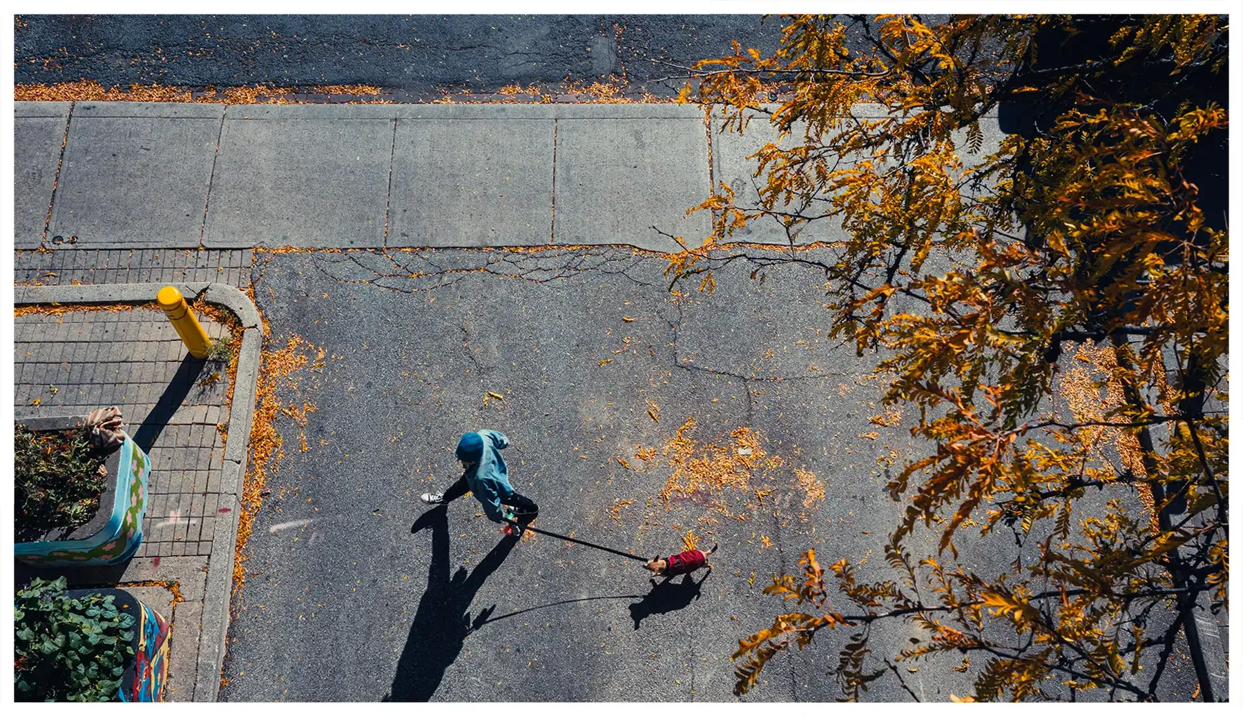 street-colour-10.webp