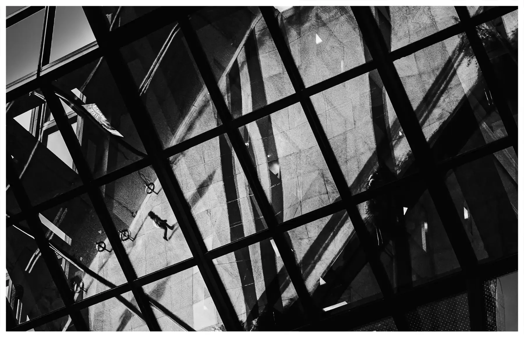 street-photography-07.webp